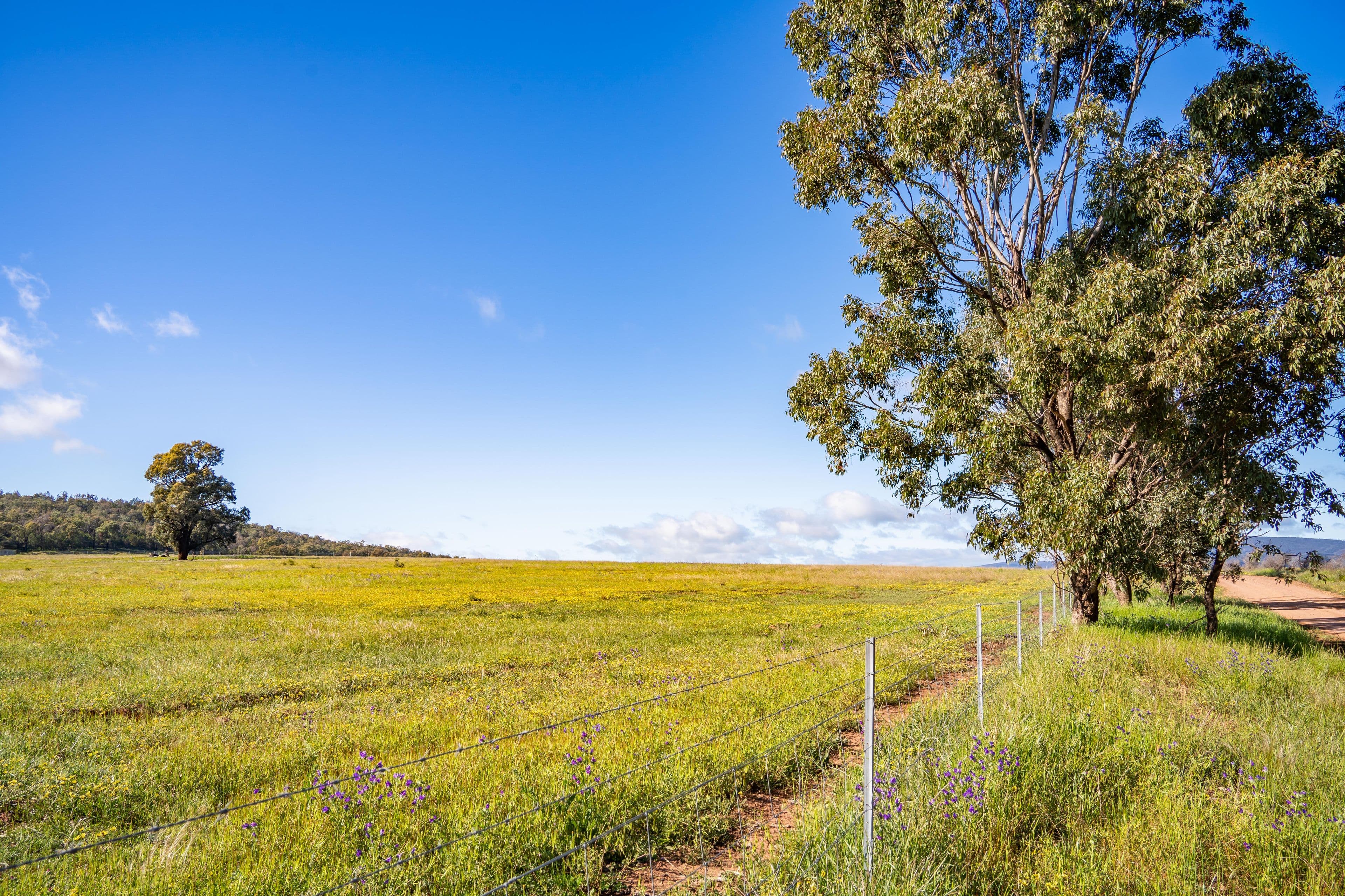 Jayton North' Fragar Road, COWRA NSW 2794, Cowra - Thumbnail 7