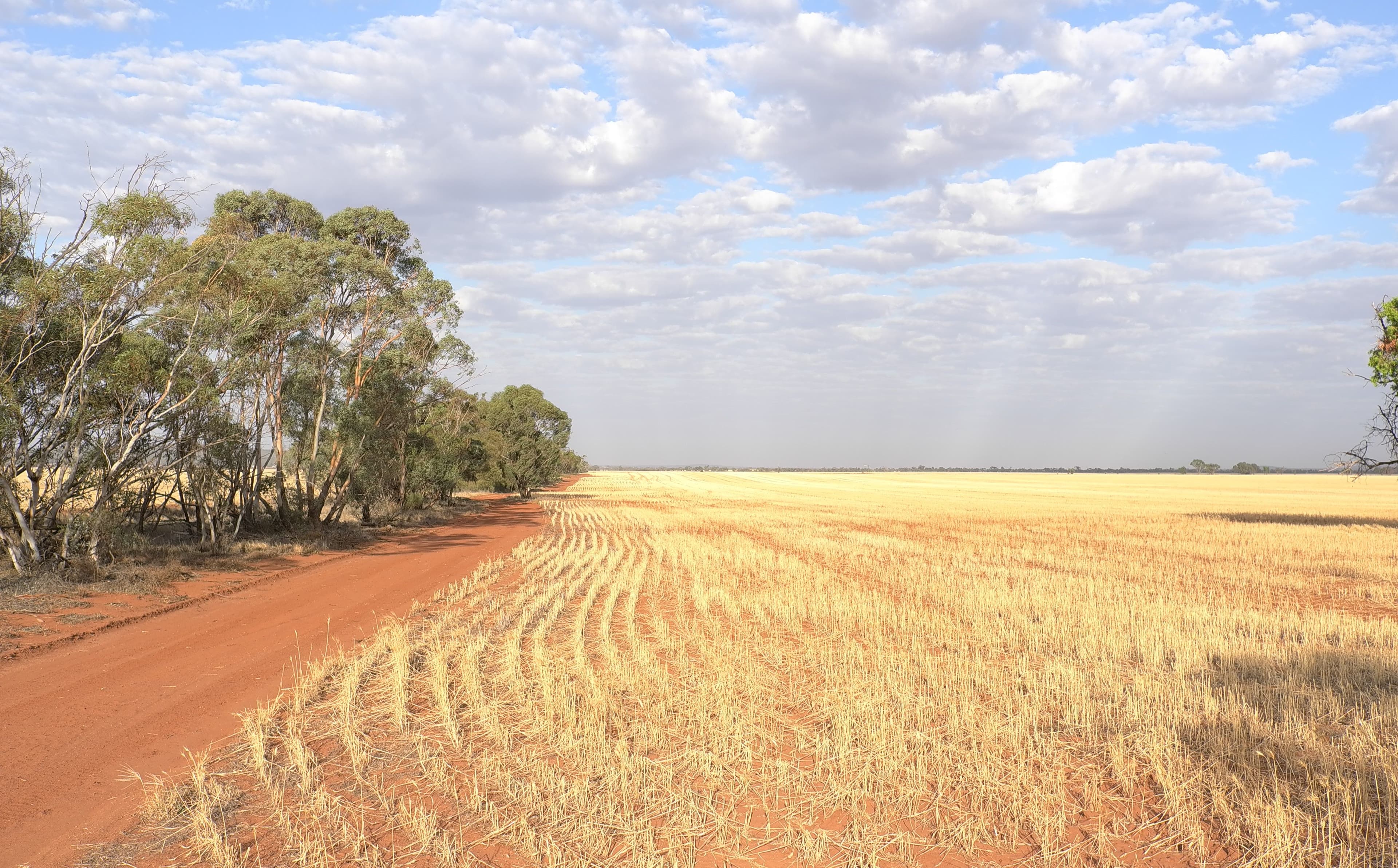 Heaths Road, Boorga NSW 2652, Boorga - Thumbnail 2
