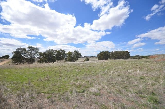 "Braeside" Tarcowie Road, Appila SA 5480, Appila - Thumbnail 2
