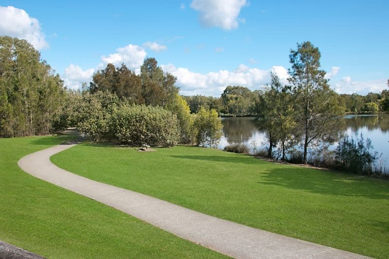 2 Tipuana Drive, Elanora QLD 4221, Elanora - Thumbnail 7