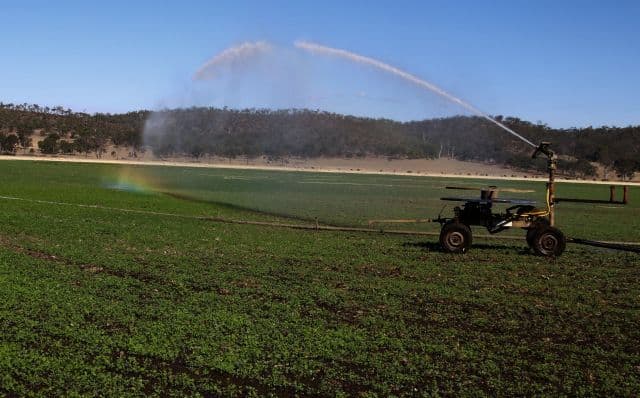 Monto QLD 4630, Monto - Thumbnail 6