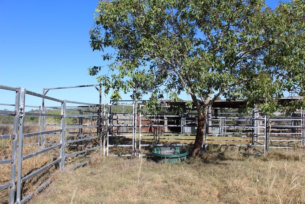 733 Upper Whitlow Road, Bingara NSW 2404, Bingara - Thumbnail 5