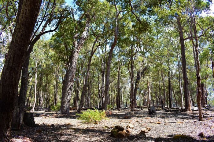 Nannup WA 6275, Nannup - Thumbnail 3