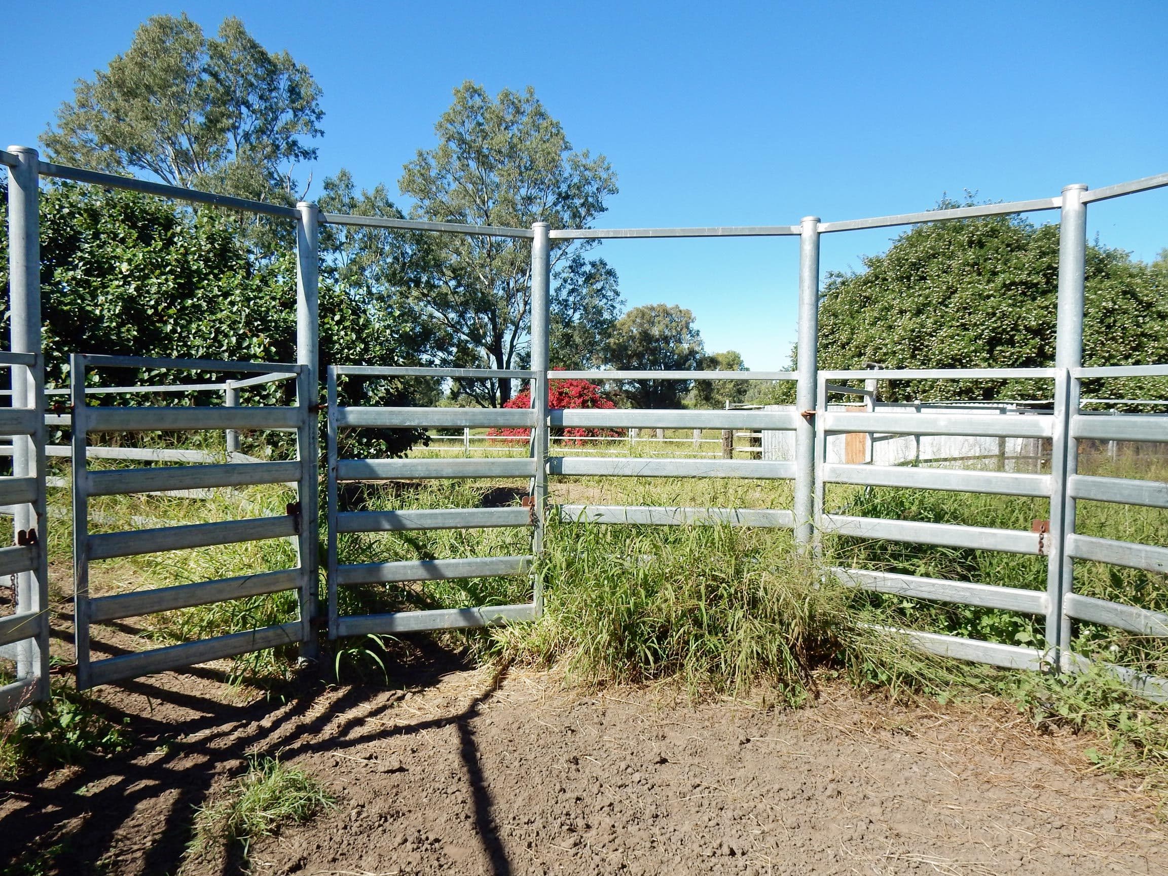 Goovigen QLD 4702, Goovigen - Thumbnail 8