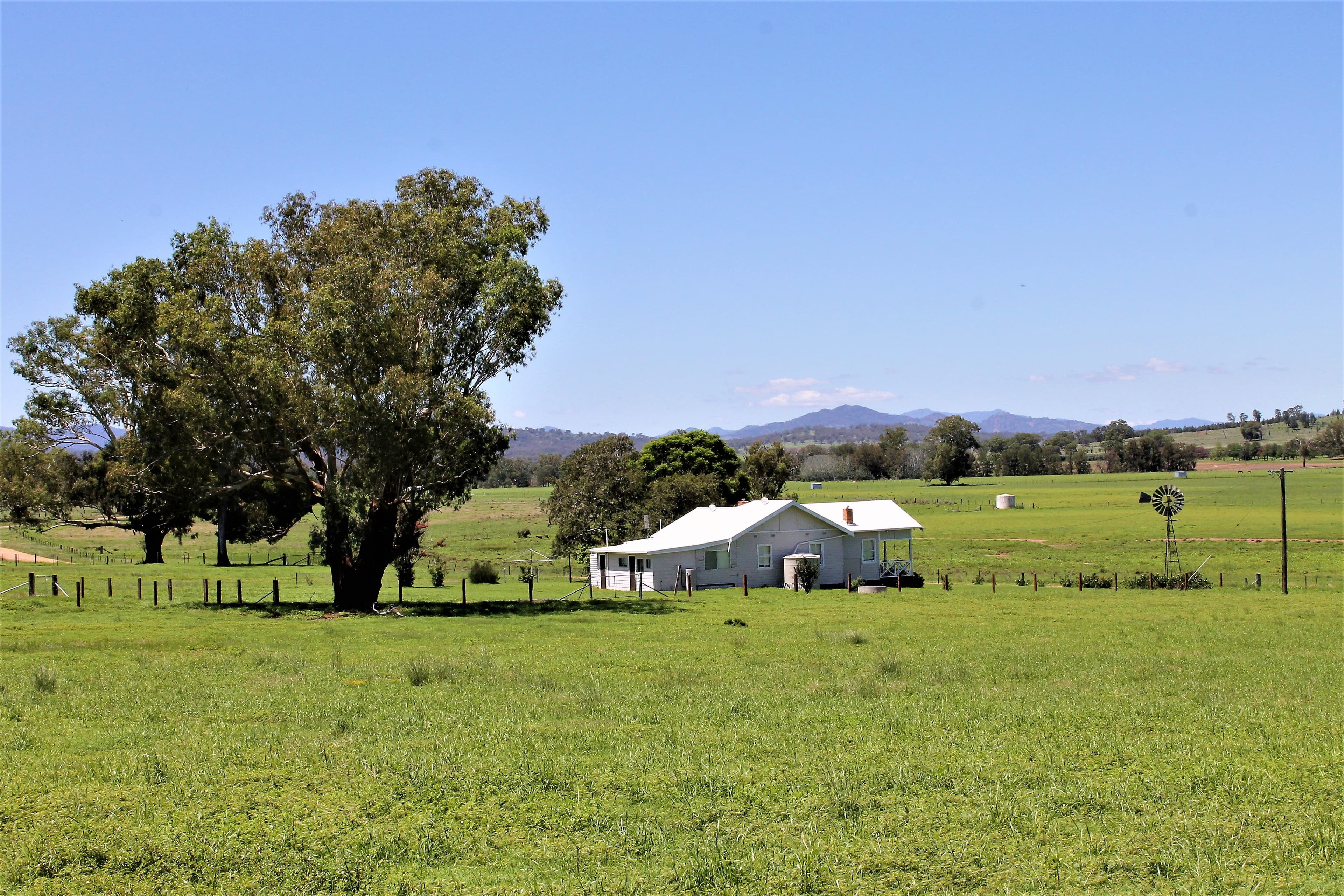 155 Paynes Road, Quirindi NSW 2343, Quirindi - Thumbnail 2