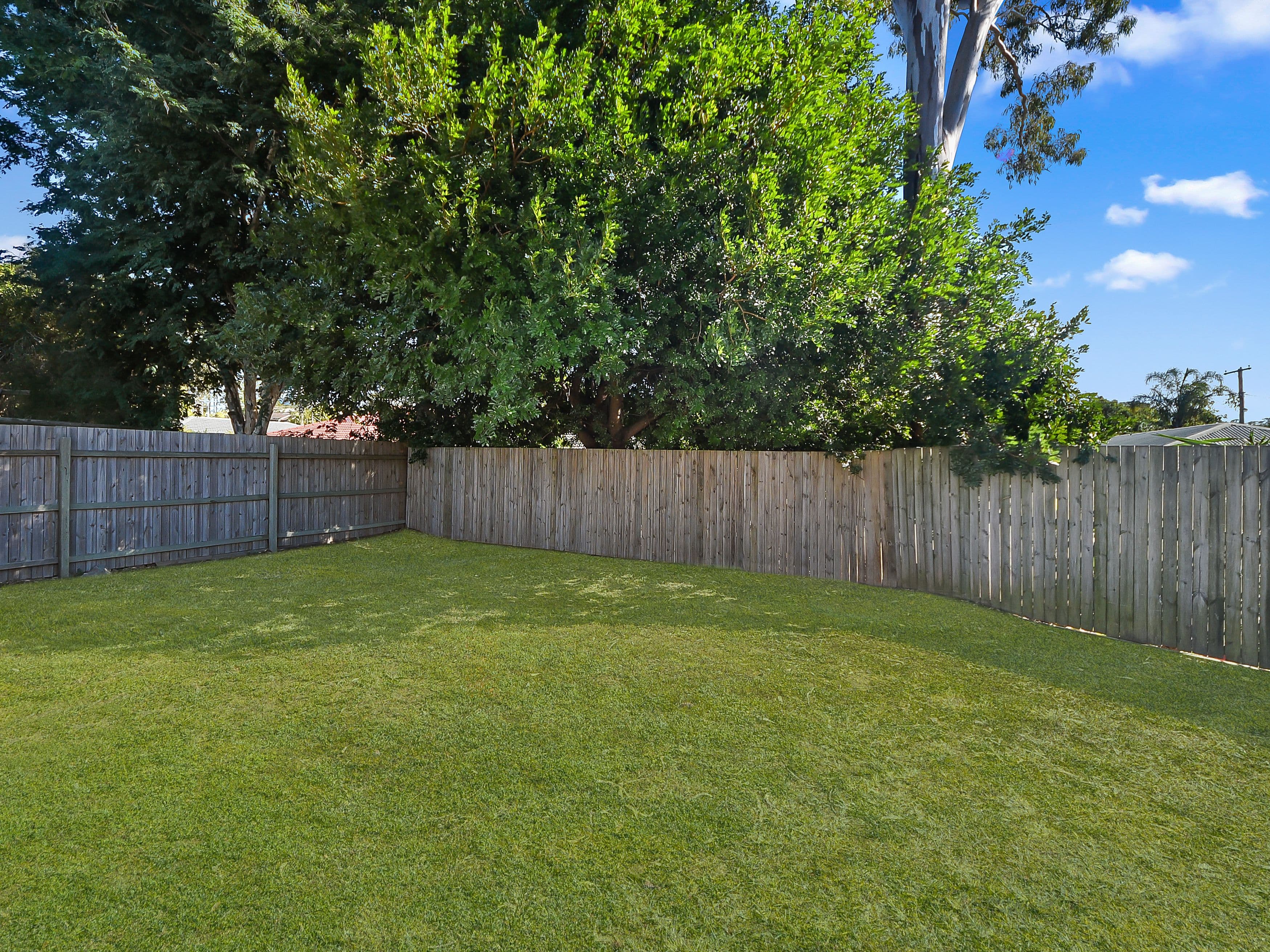 15 Toulouse Avenue, Petrie QLD 4502, Petrie - Thumbnail 5