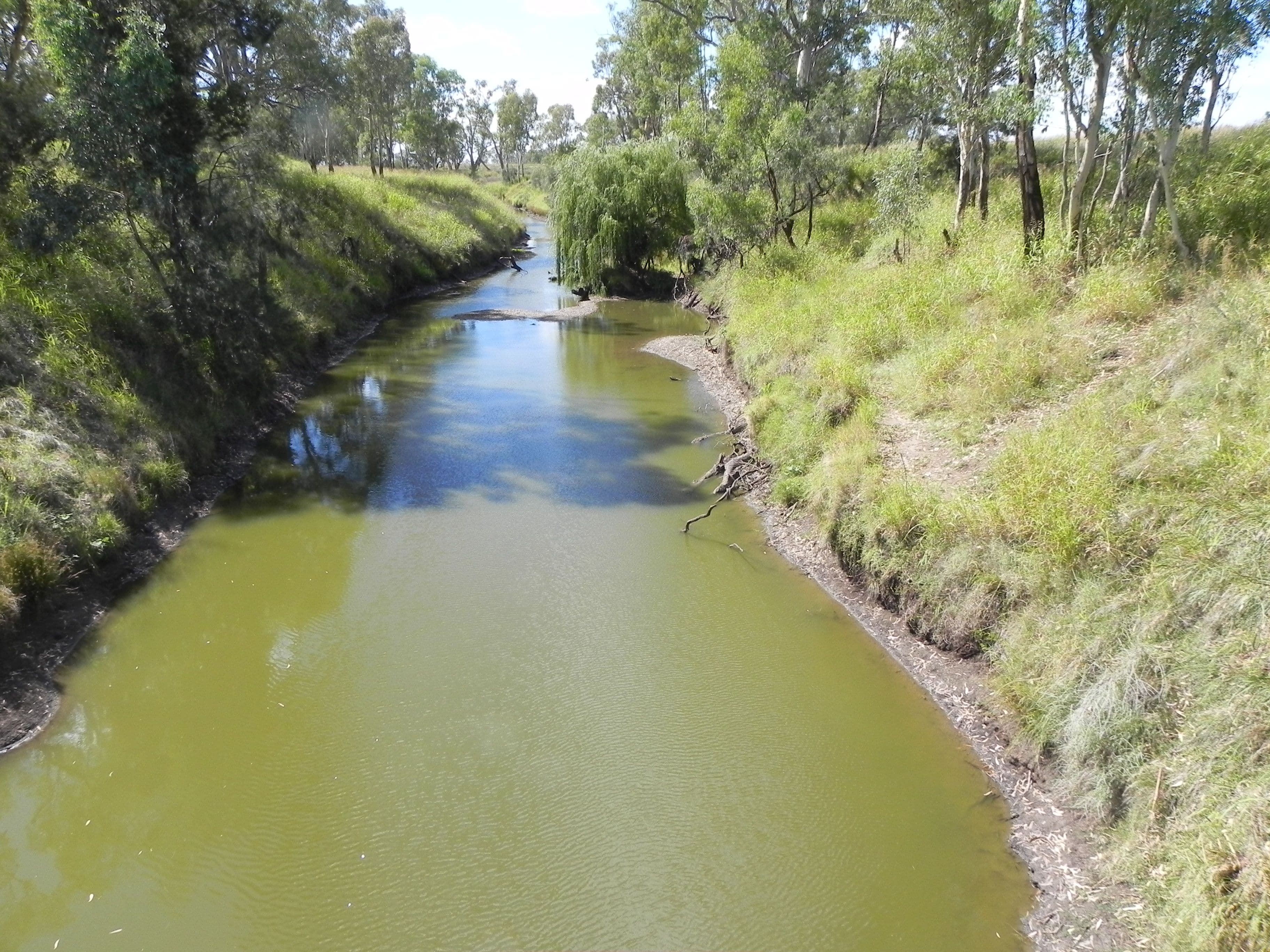 1663 Millmerran Leyburn Road, Tummaville QLD 4352, Tummaville - Thumbnail 2