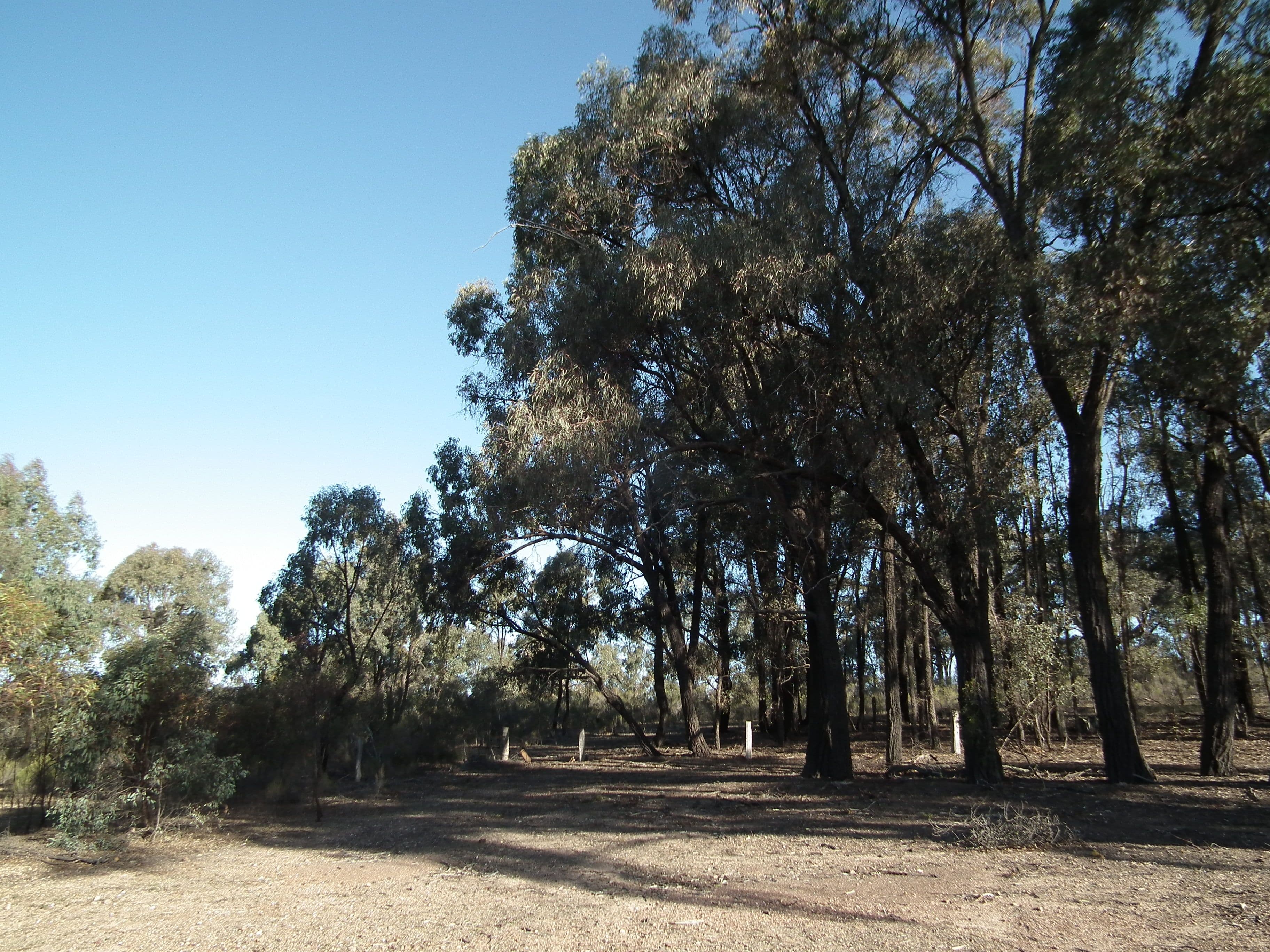 CA 30 Murchison-Whroo Road, Nagambie VIC 3608, Nagambie - Thumbnail 2
