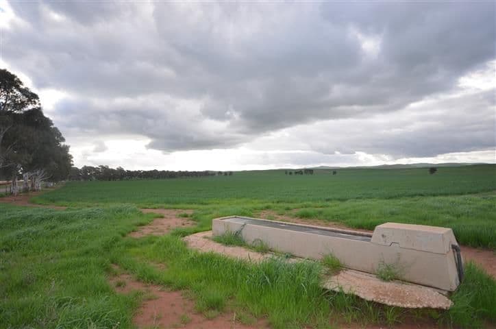 "Wandowie" 41 Pipeline Road, Leighton SA 5417, Leighton - Thumbnail 4