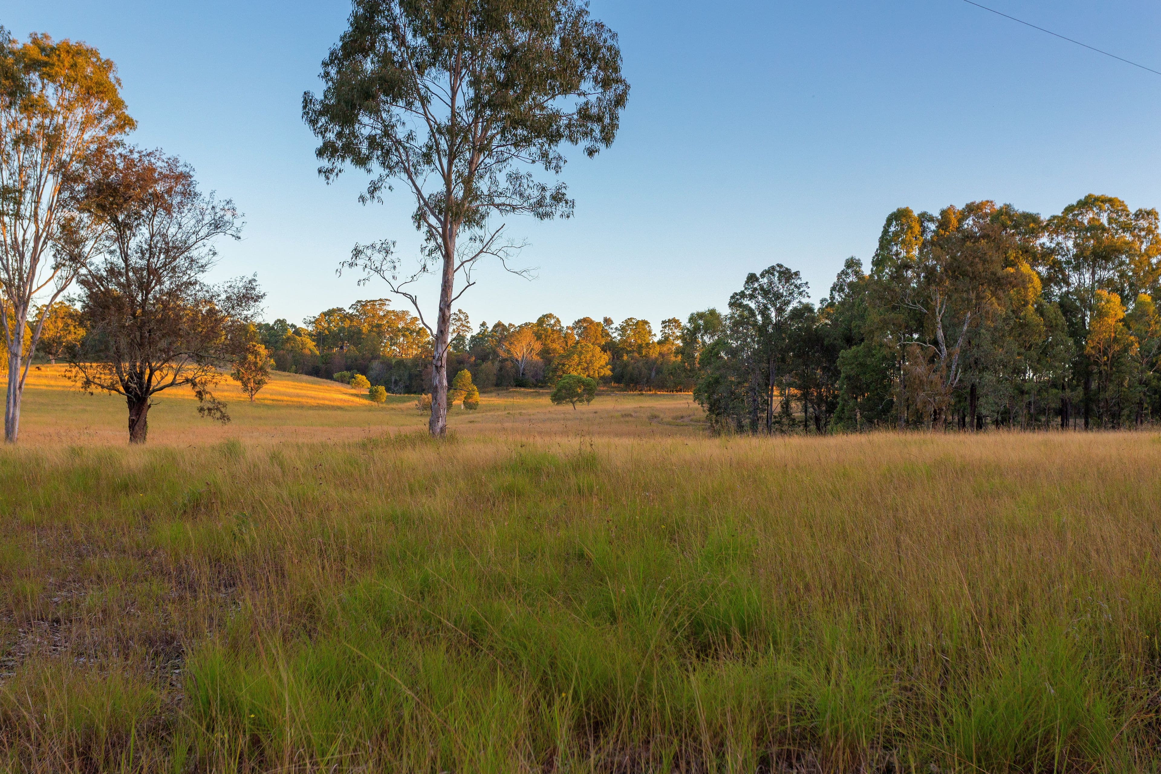 423 Cedar Party Road, Wingham NSW 2429, Wingham - Thumbnail 5