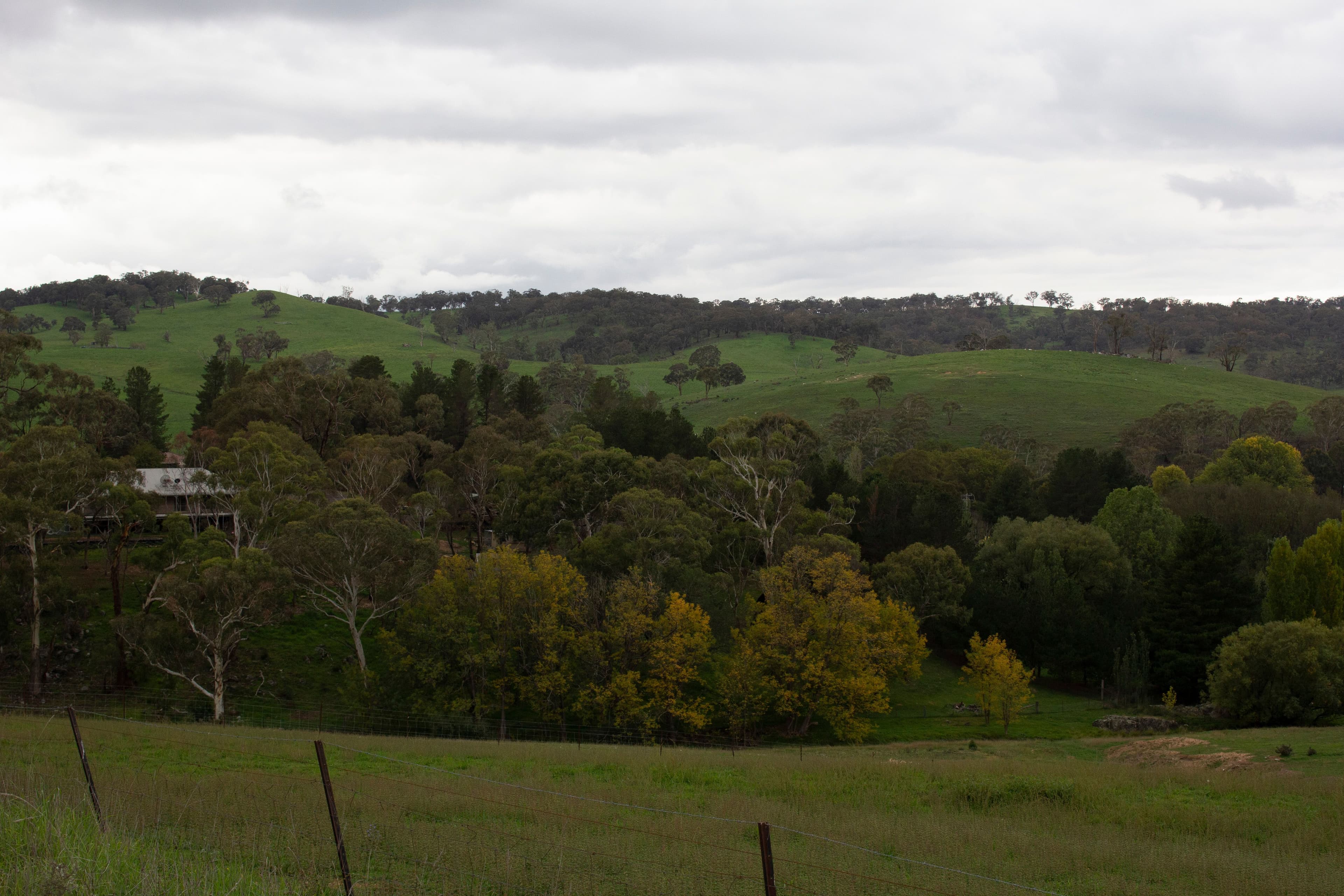 Rockley NSW 2795, Rockley - Thumbnail 7