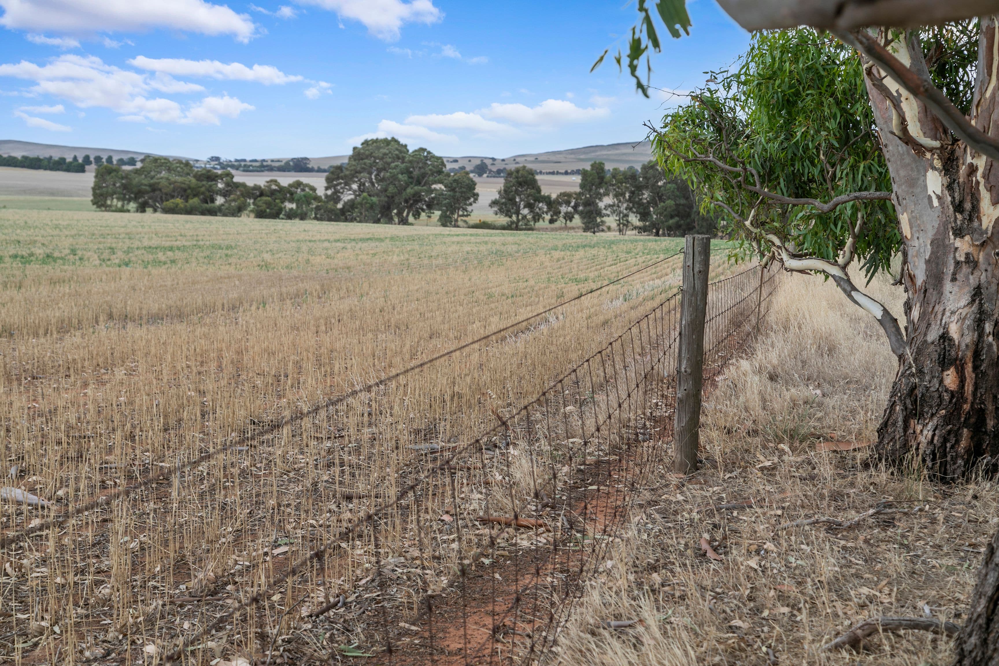 'Manoora Block' Wilmott Road, Manoora SA 5414, Manoora - Thumbnail 6