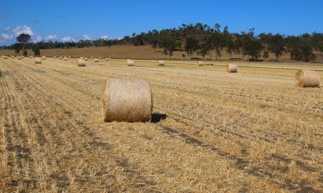 Monto QLD 4630, Monto - Thumbnail 5