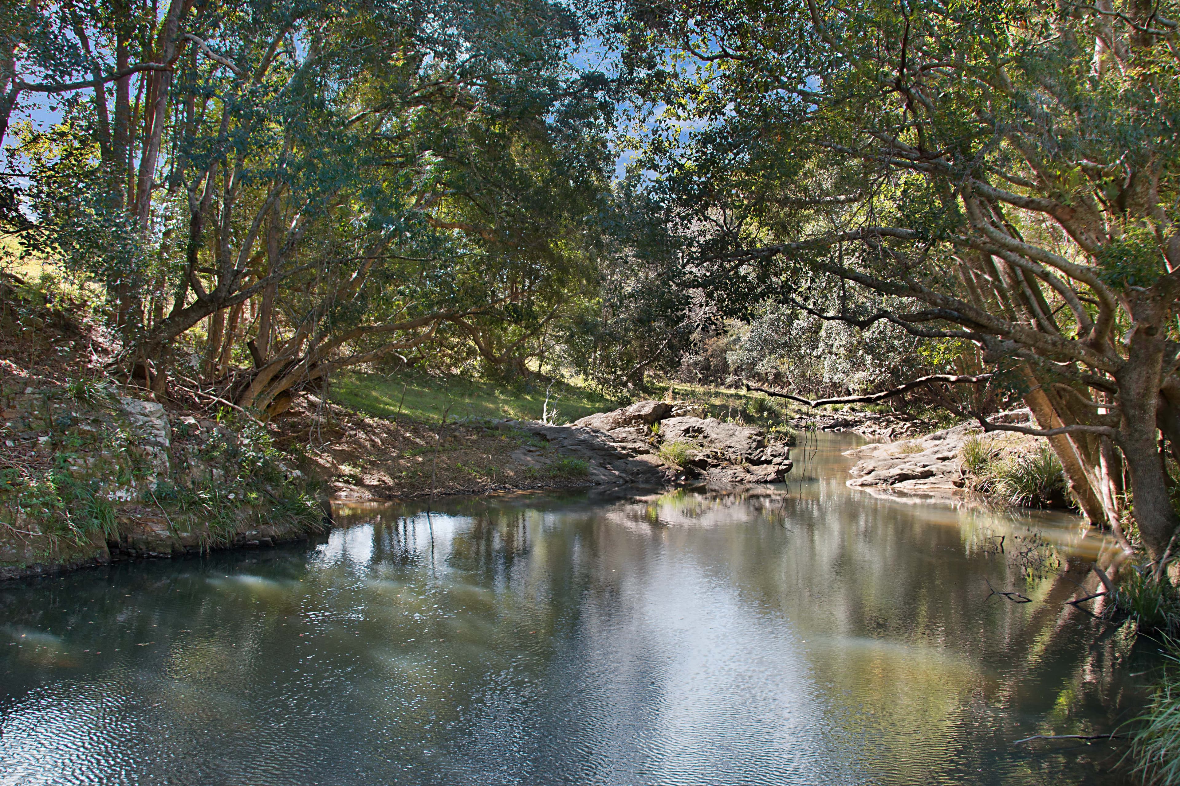 679 Urliup Road, Urliup NSW 2484, Urliup - Thumbnail 2