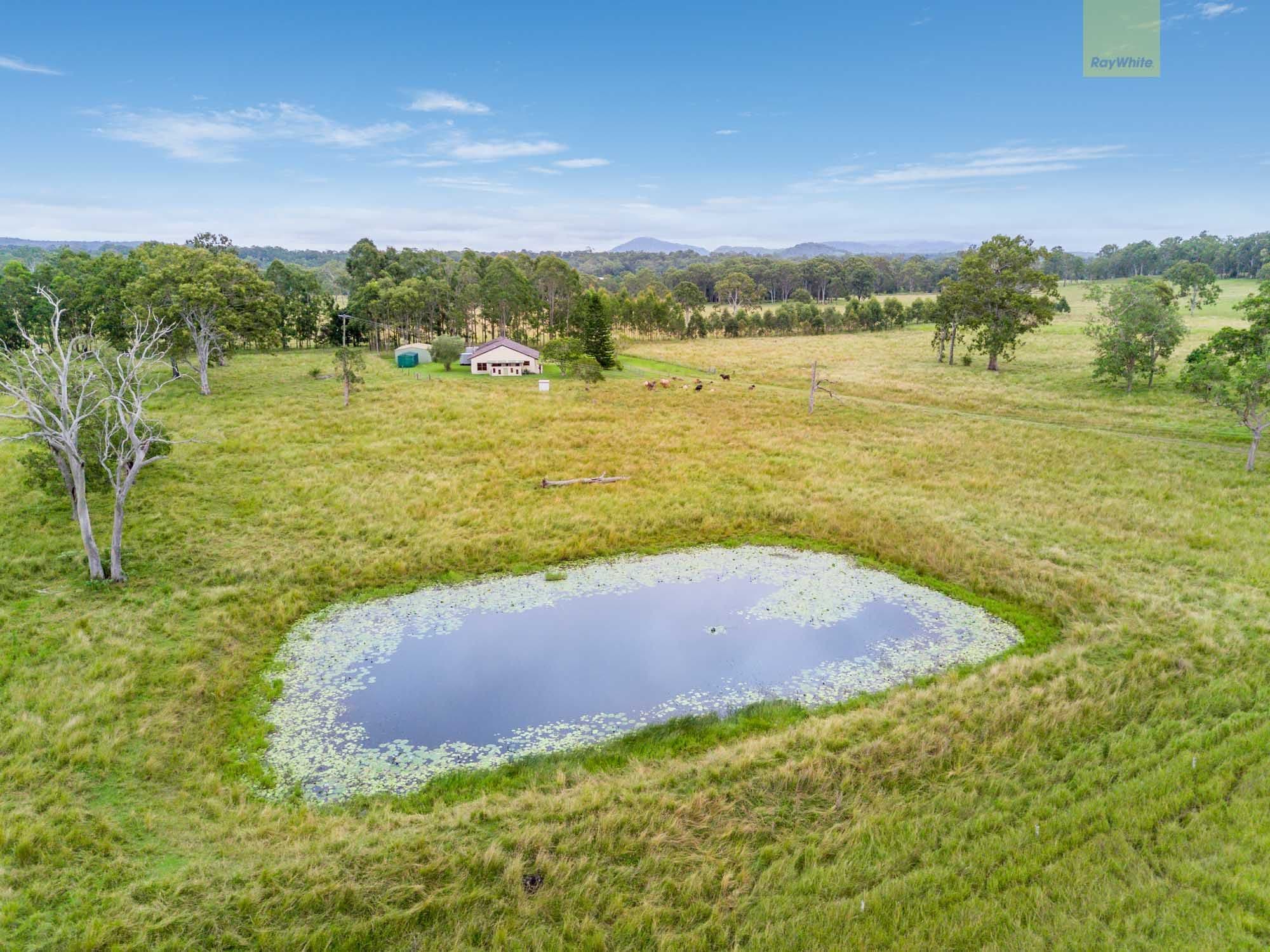 65 Toohey Road, Caniaba NSW 2480, Caniaba - Thumbnail 3