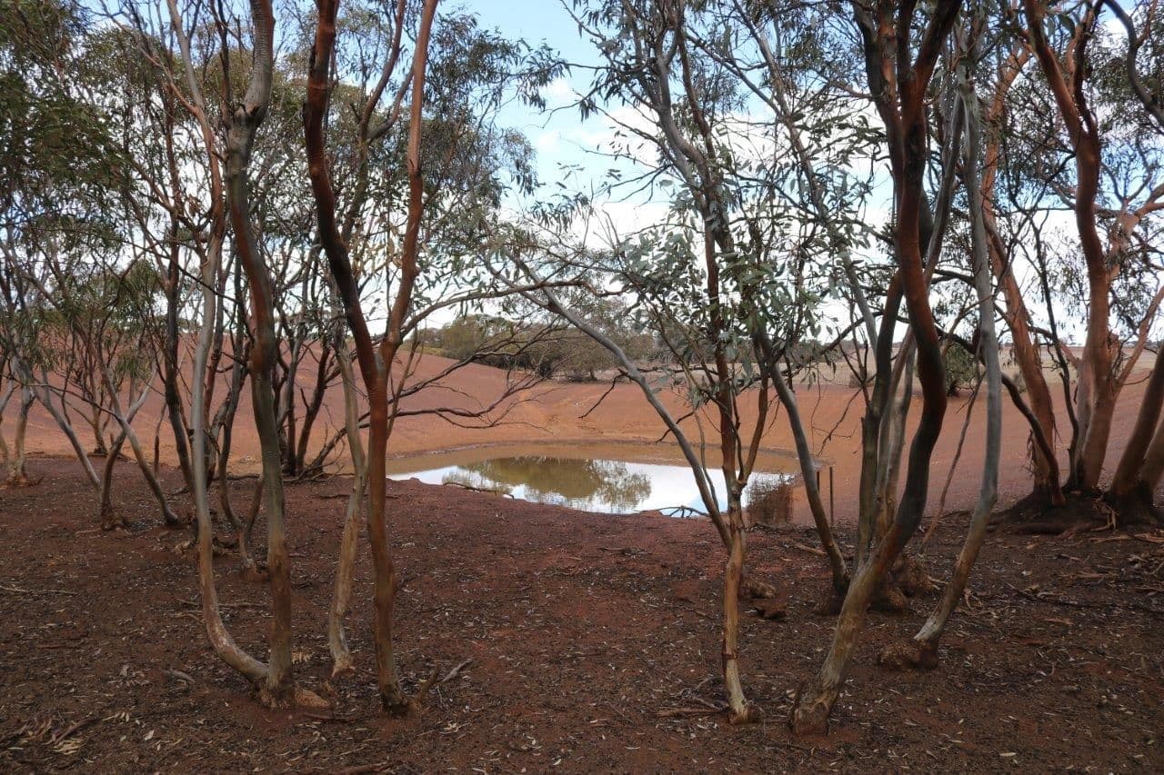L265 Calzoni Road, Woolocutty WA 6369, Woolocutty - Thumbnail 3