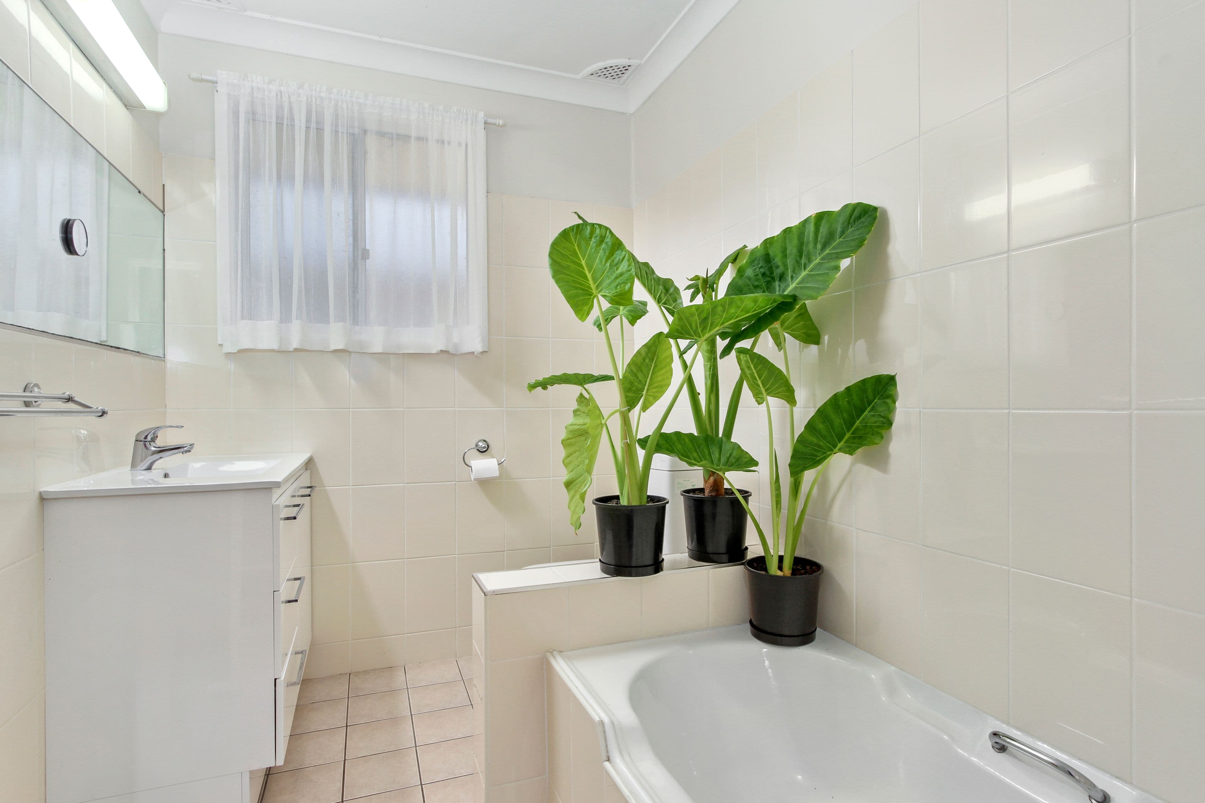 64 Arinya Street, Tamworth NSW 2340, Tamworth - Thumbnail 7