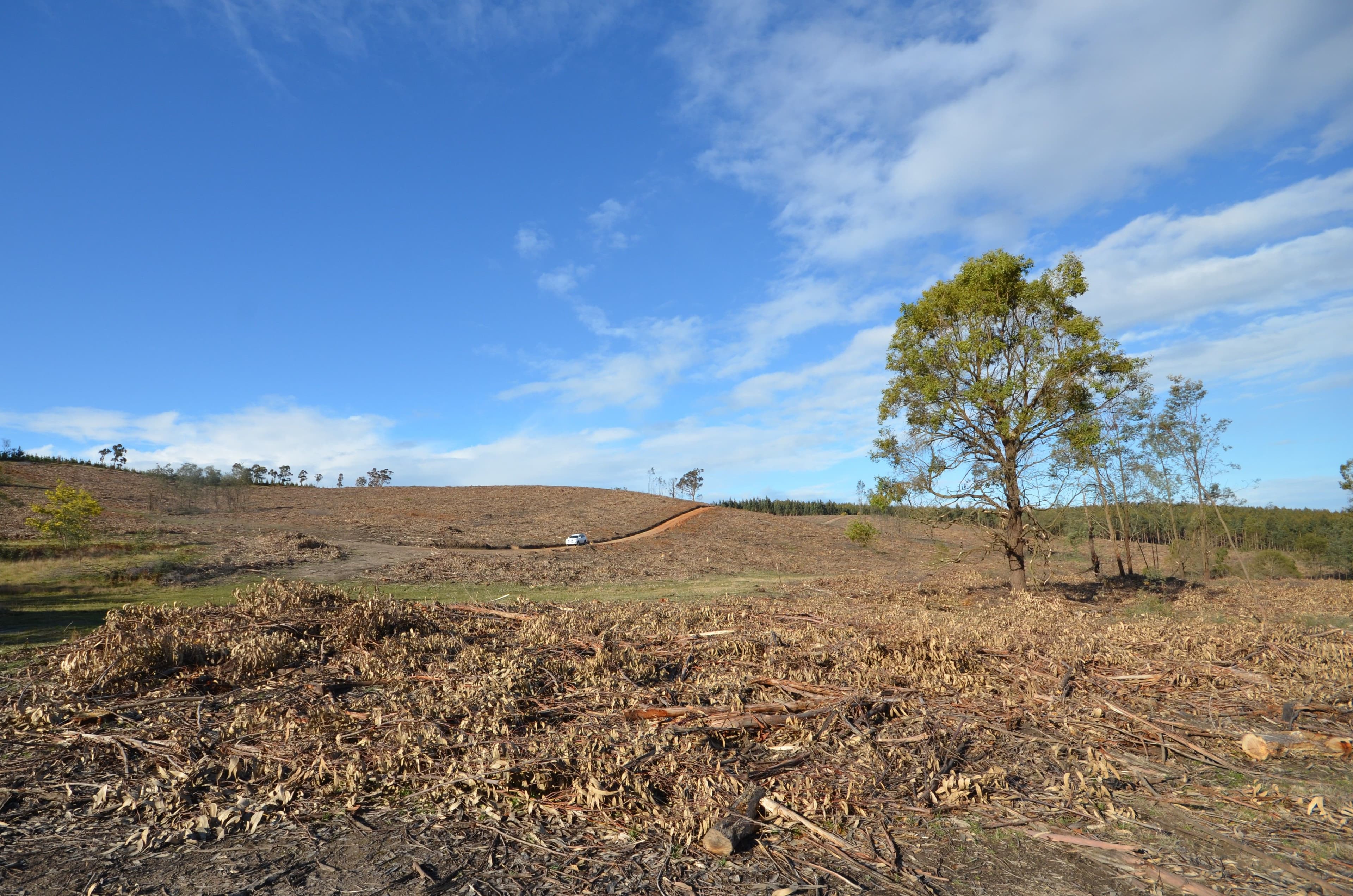 Papadimitriou Graveyard Hill Road, RAGLAN VIC 3373, Raglan - Thumbnail 7