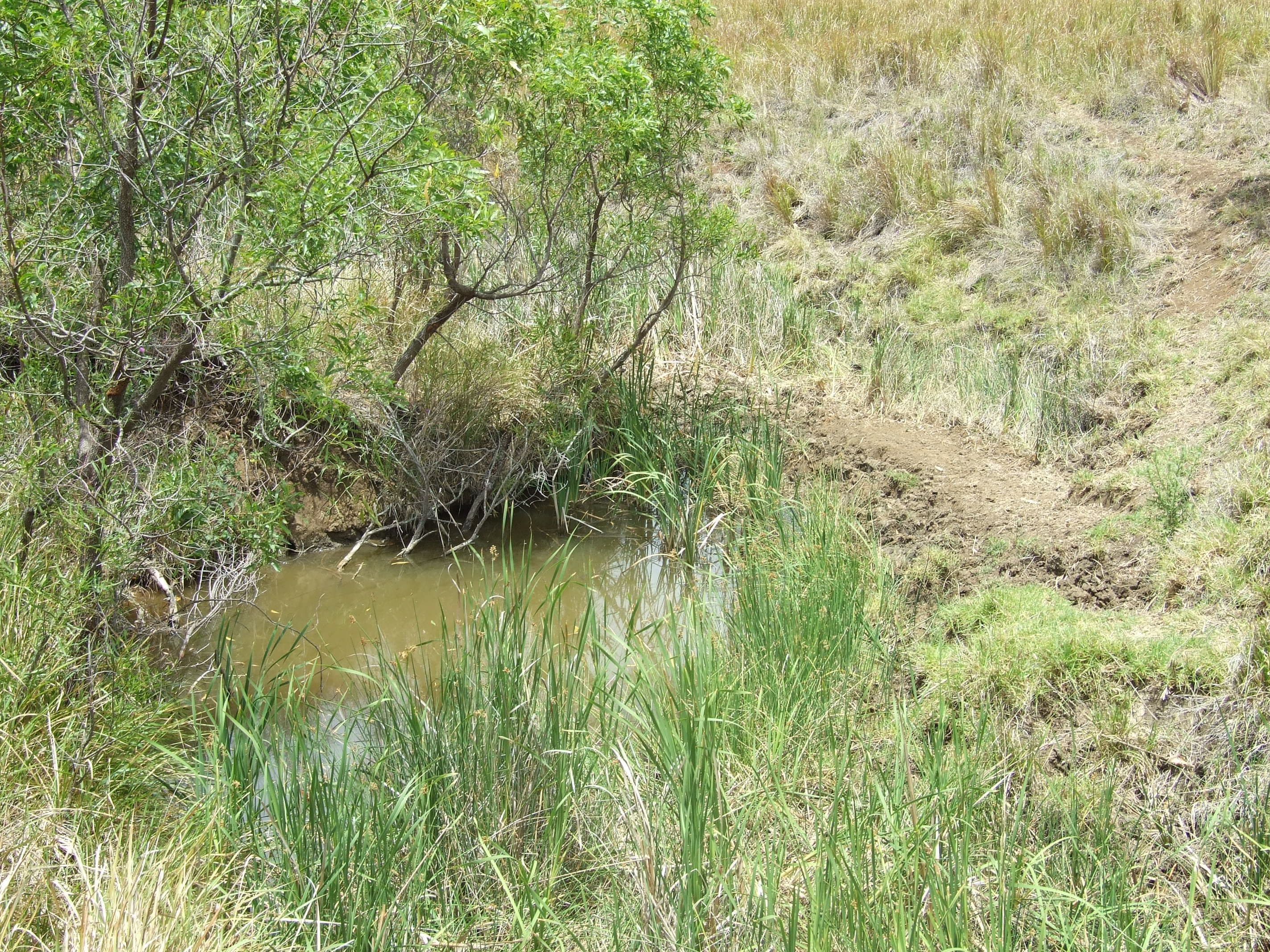 7716 New England Highway, Crows Nest QLD 4355, Crows Nest - Thumbnail 3