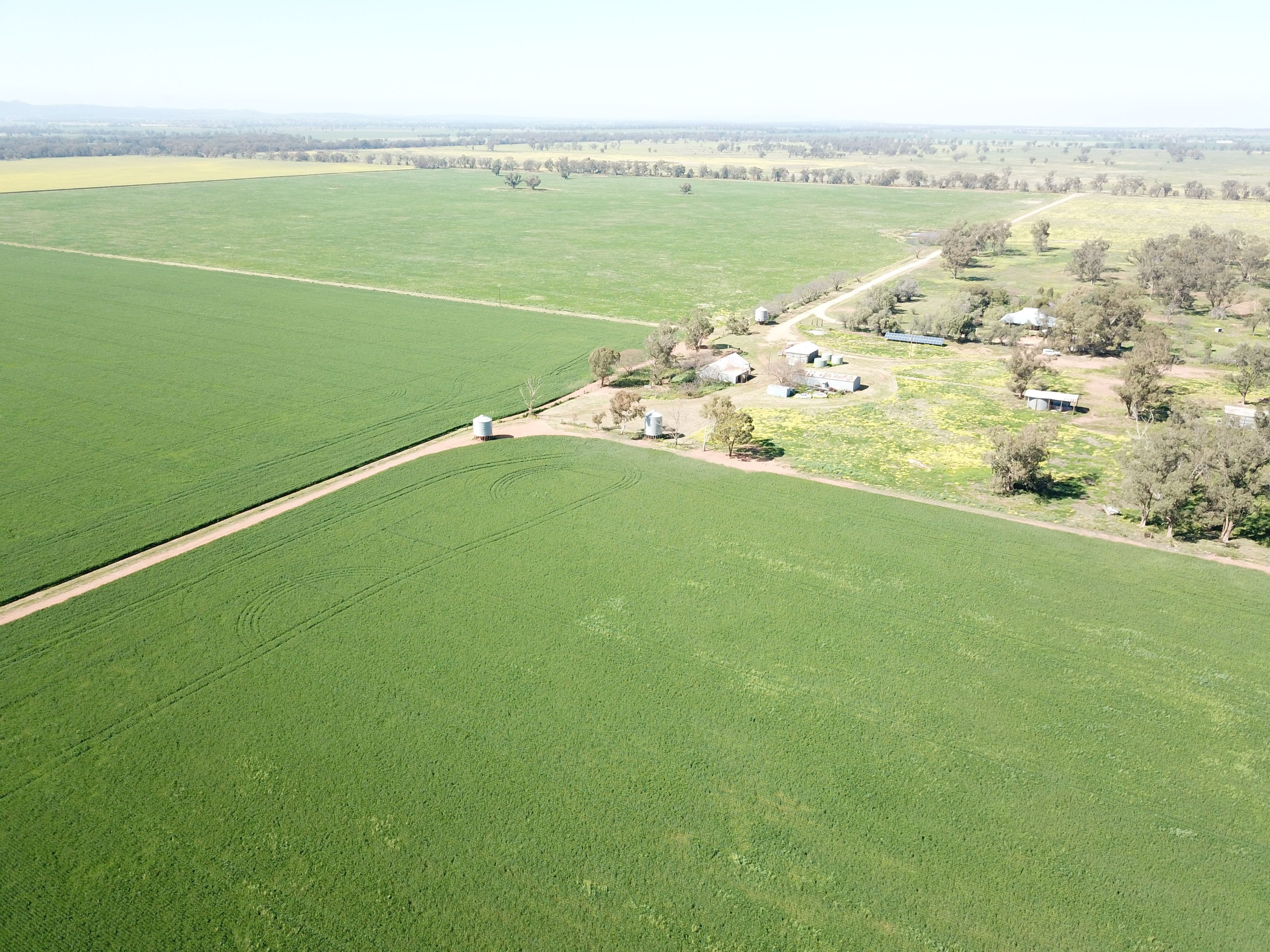 'Iona' 162 Craigie Lea Lane, Narromine NSW 2821, Narromine - Thumbnail 8