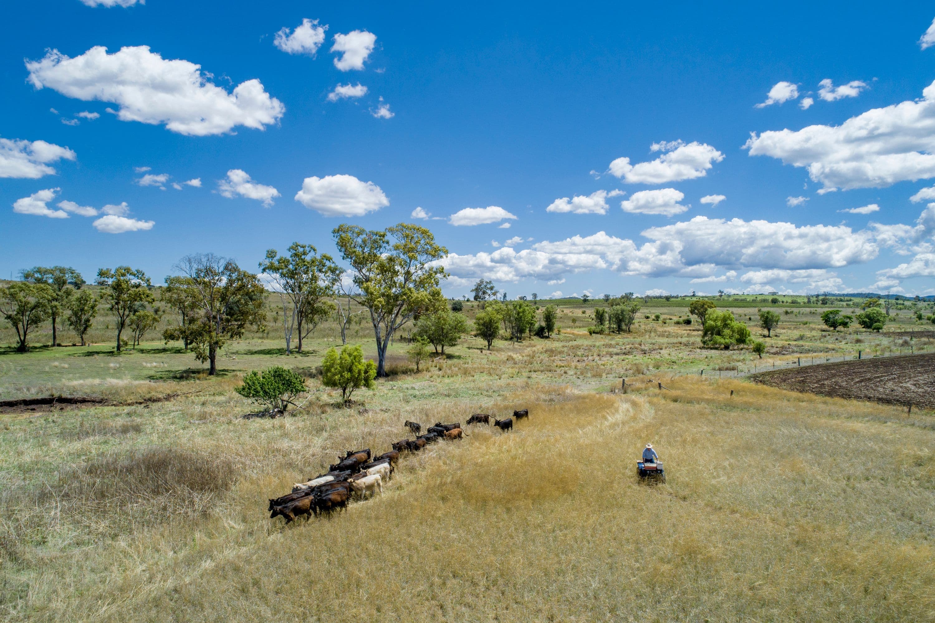4435 Bunya North Highway, Bell QLD 4408, Bell - Thumbnail 8