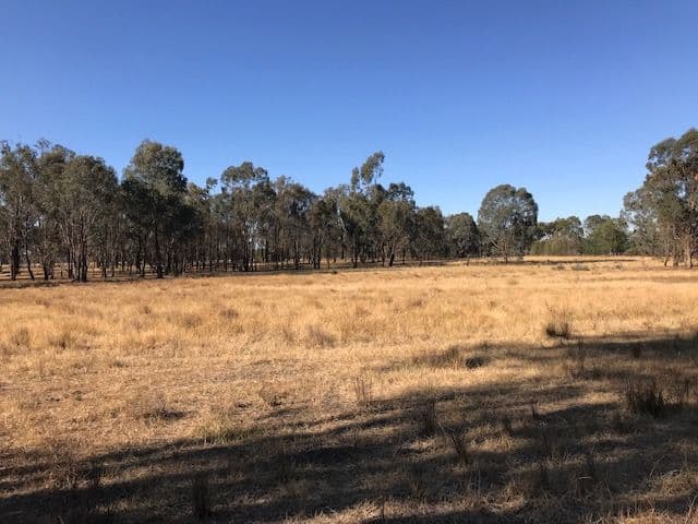 Browns Plains VIC 3685, Browns Plains - Thumbnail 3