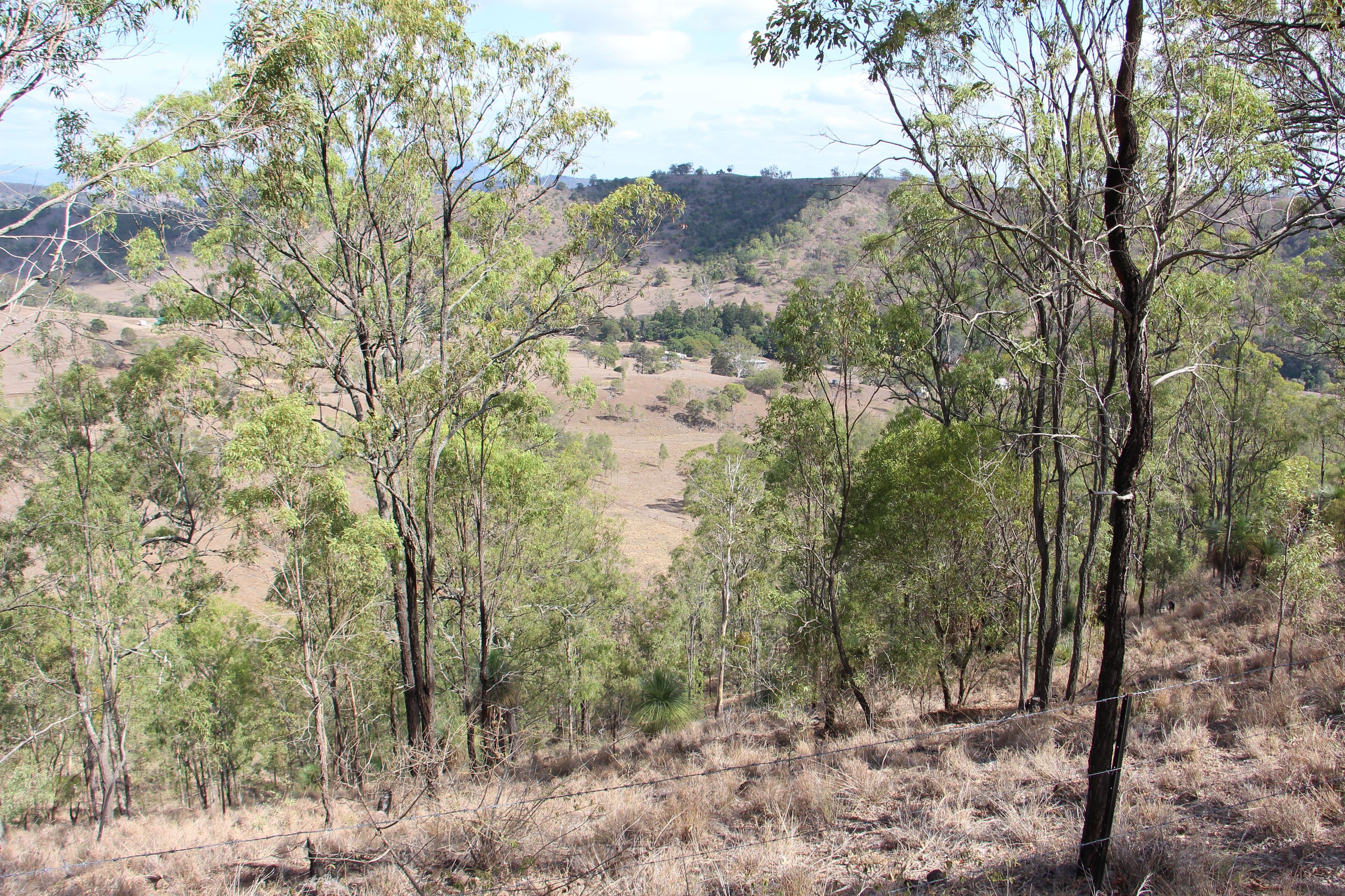 Running Creek QLD 4287, Running Creek - Thumbnail 2