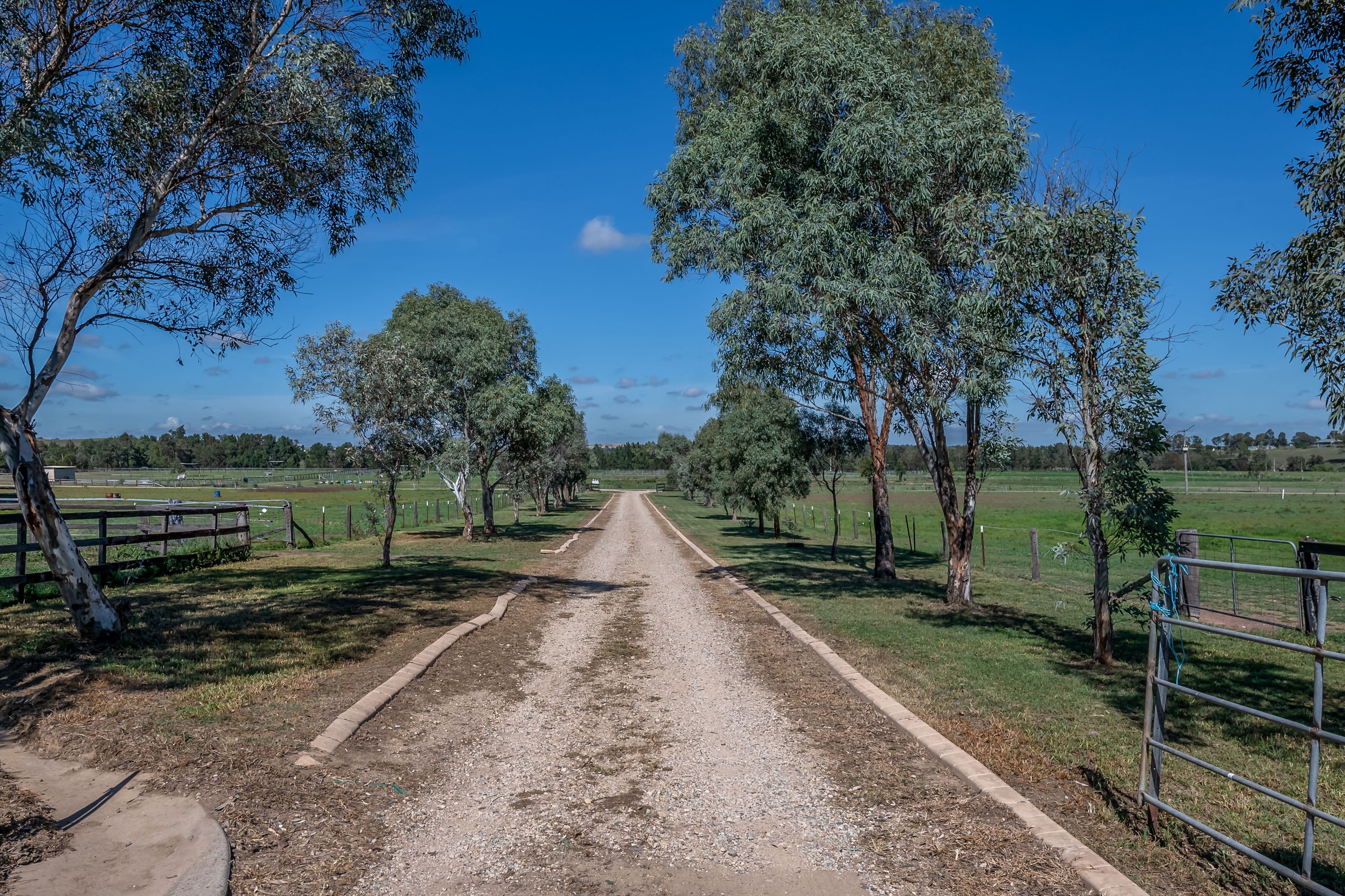 1064D Middle Falbrook Road, Singleton NSW 2330, Singleton - Thumbnail 8