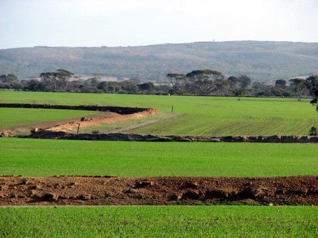 Nyonger 541 Cashmore Road, Hyden WA 6359, Hyden - Image 1