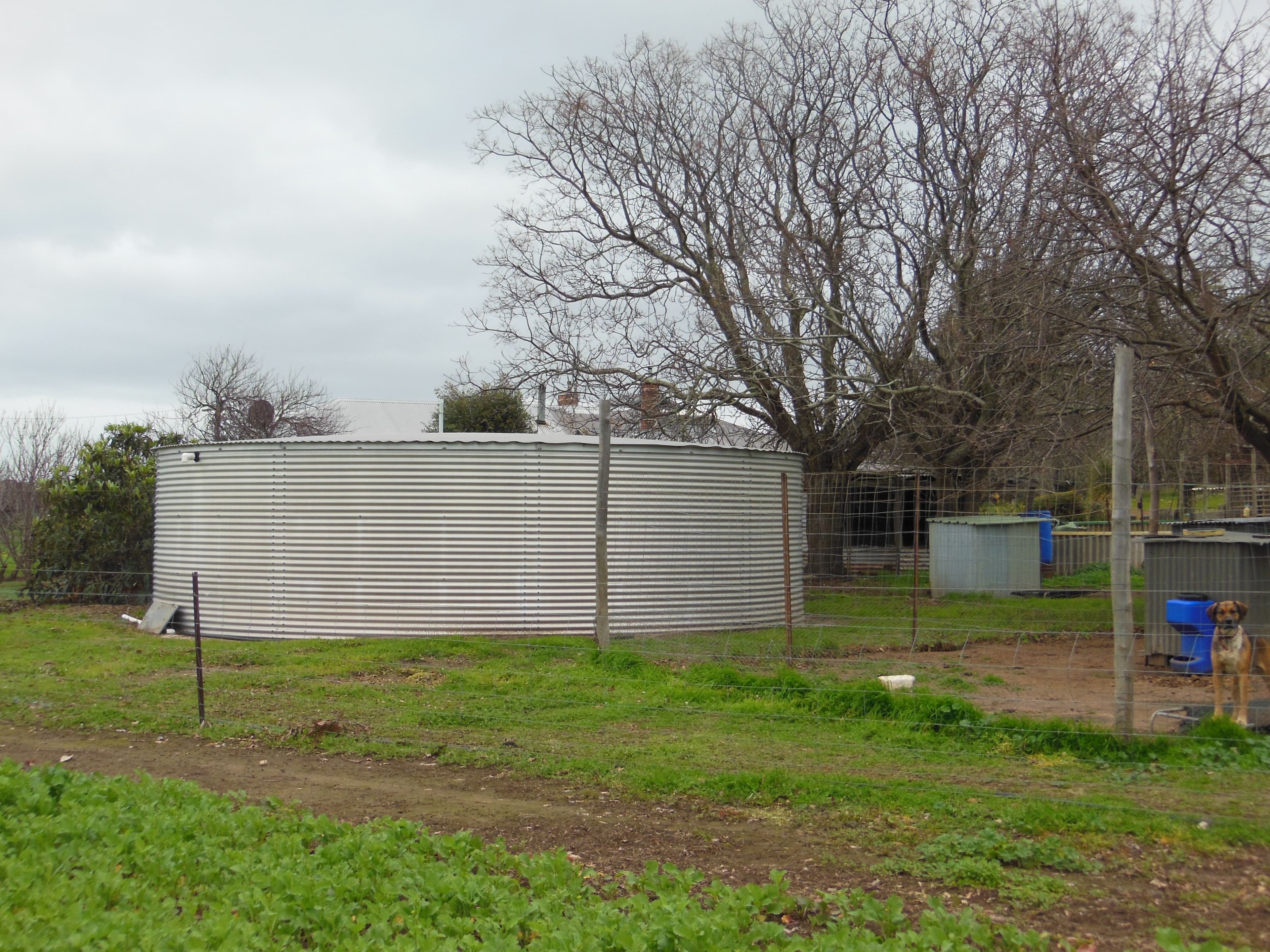 Avonlea Hall Road, Moodiarrup WA 6393, Moodiarrup - Thumbnail 8