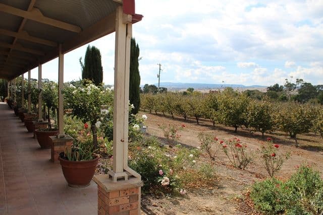 12 Box Flat Road, O'Connell NSW 2795, O'Connell - Thumbnail 3