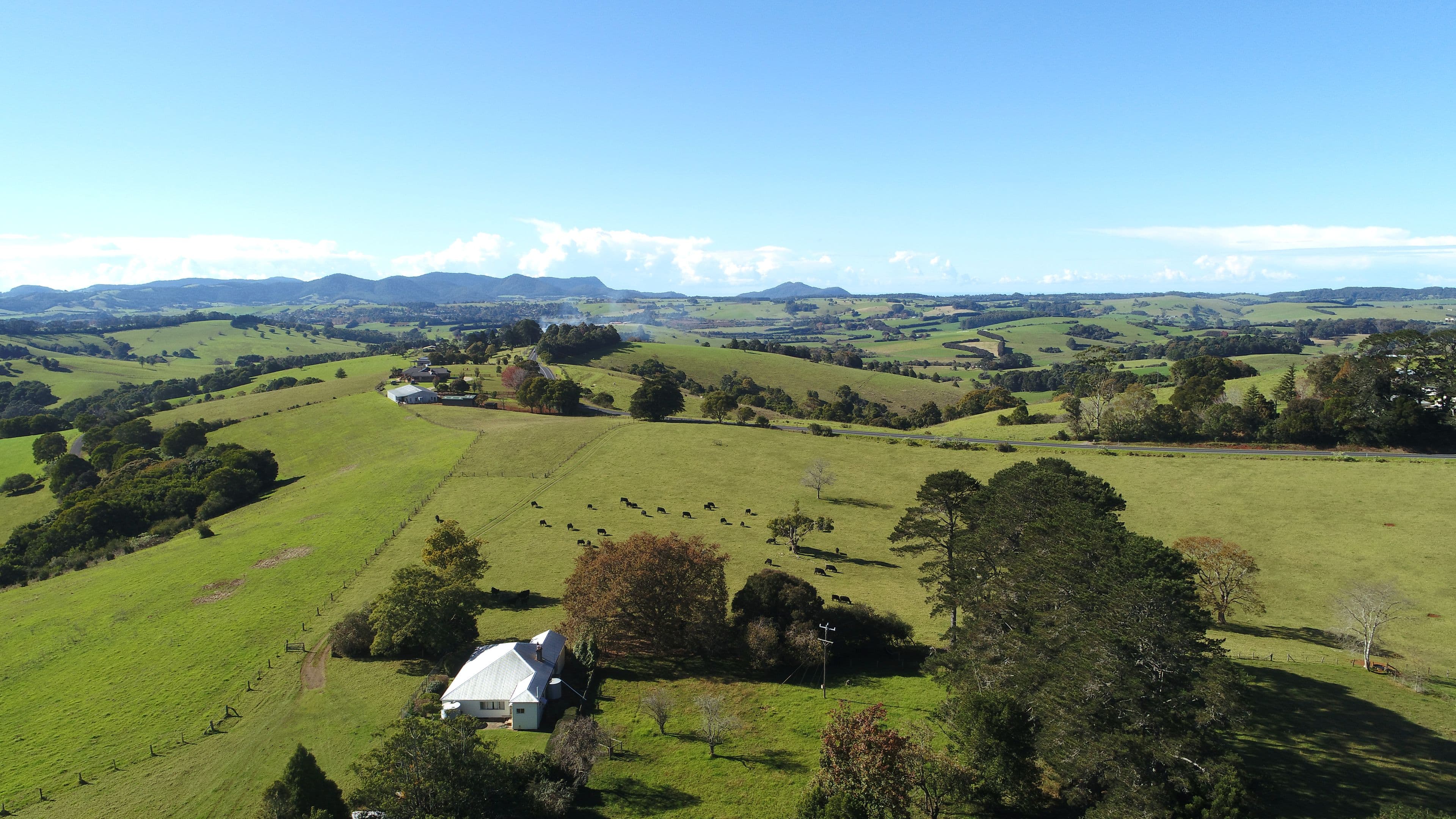 Dorrigo NSW 2453, Dorrigo - Thumbnail 4