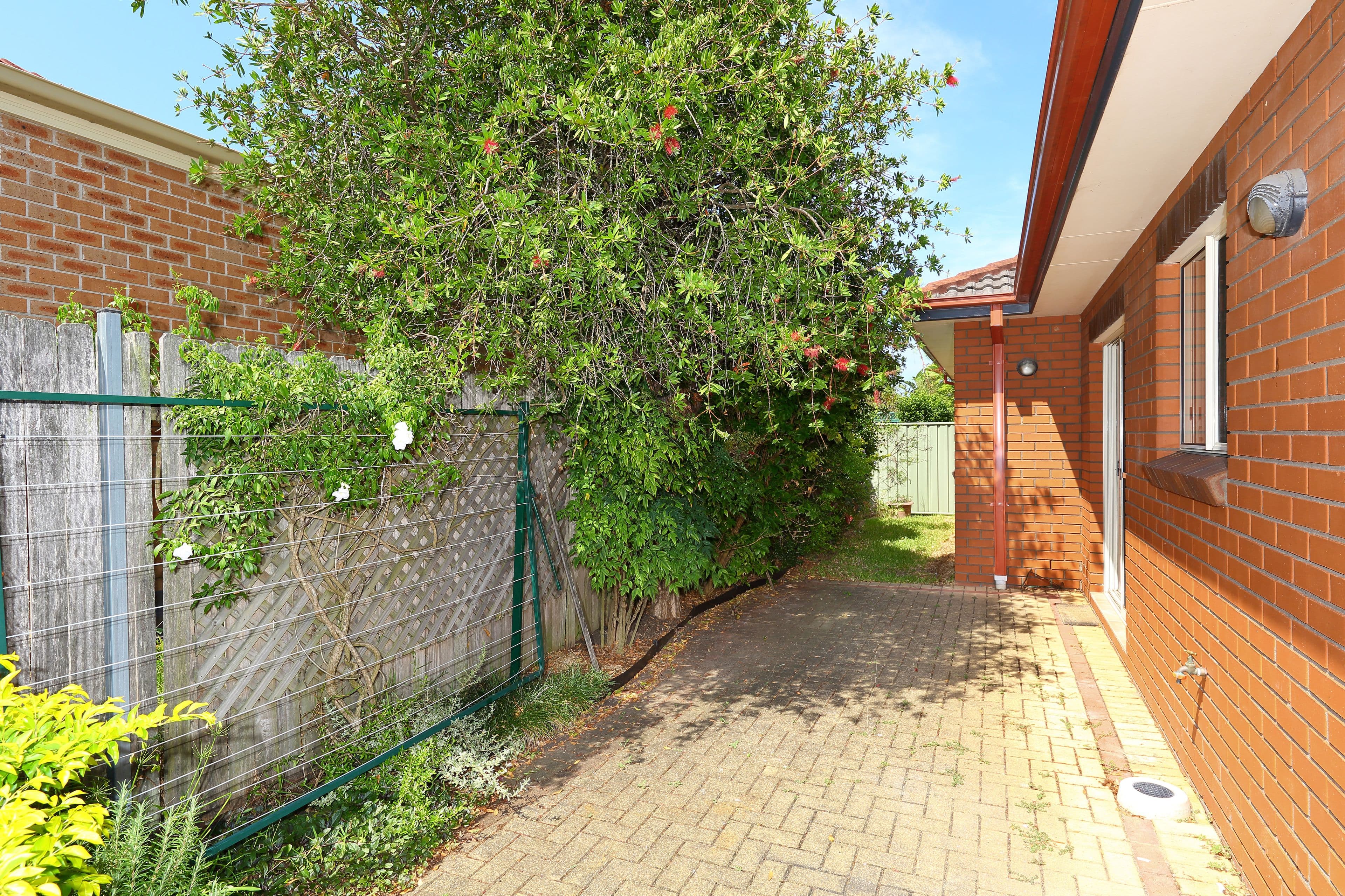 8 Louisa Street, Oatley NSW 2223, Oatley - Thumbnail 7