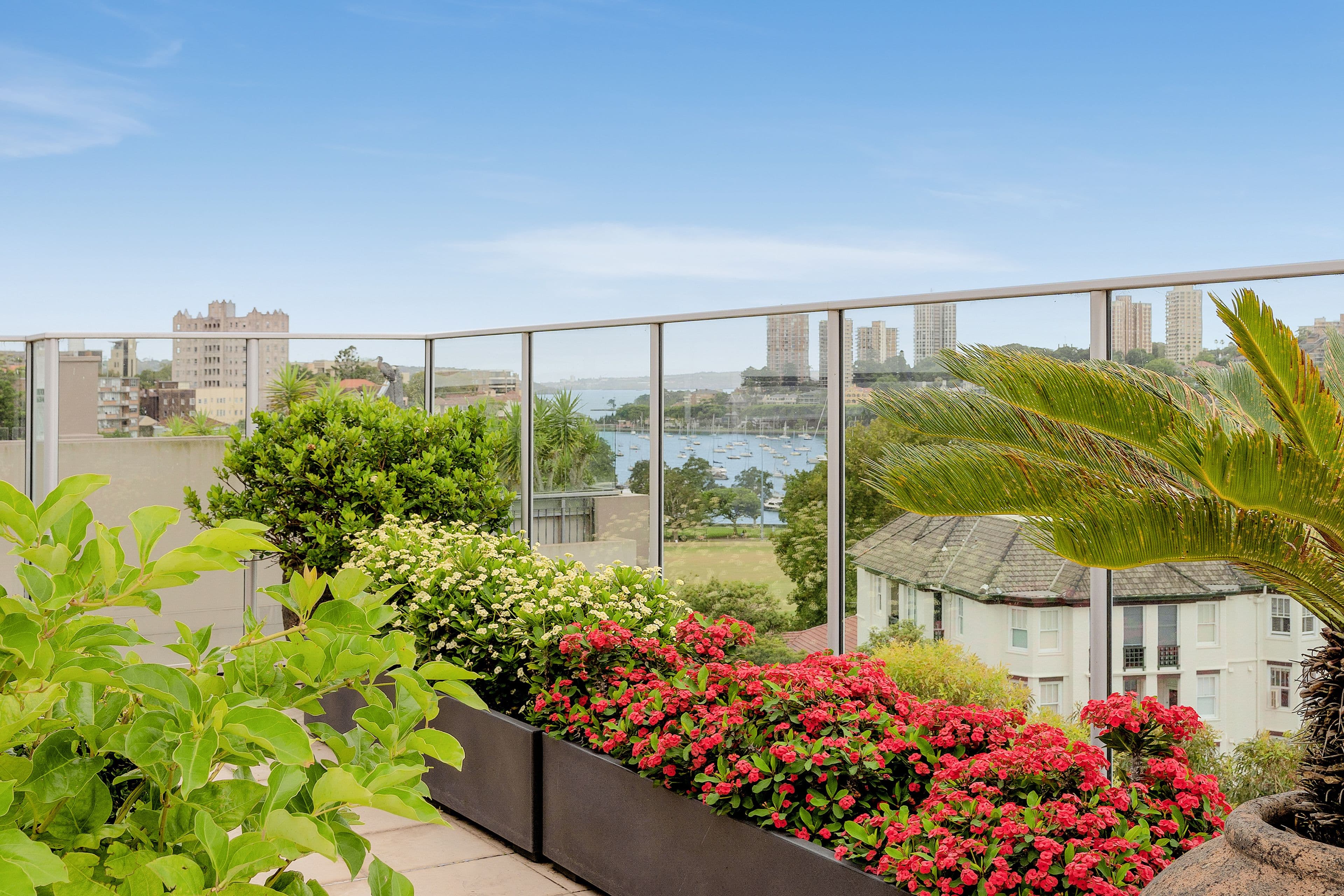 33 Waratah Street, Rushcutters Bay NSW 2011, Rushcutters Bay - Thumbnail 4