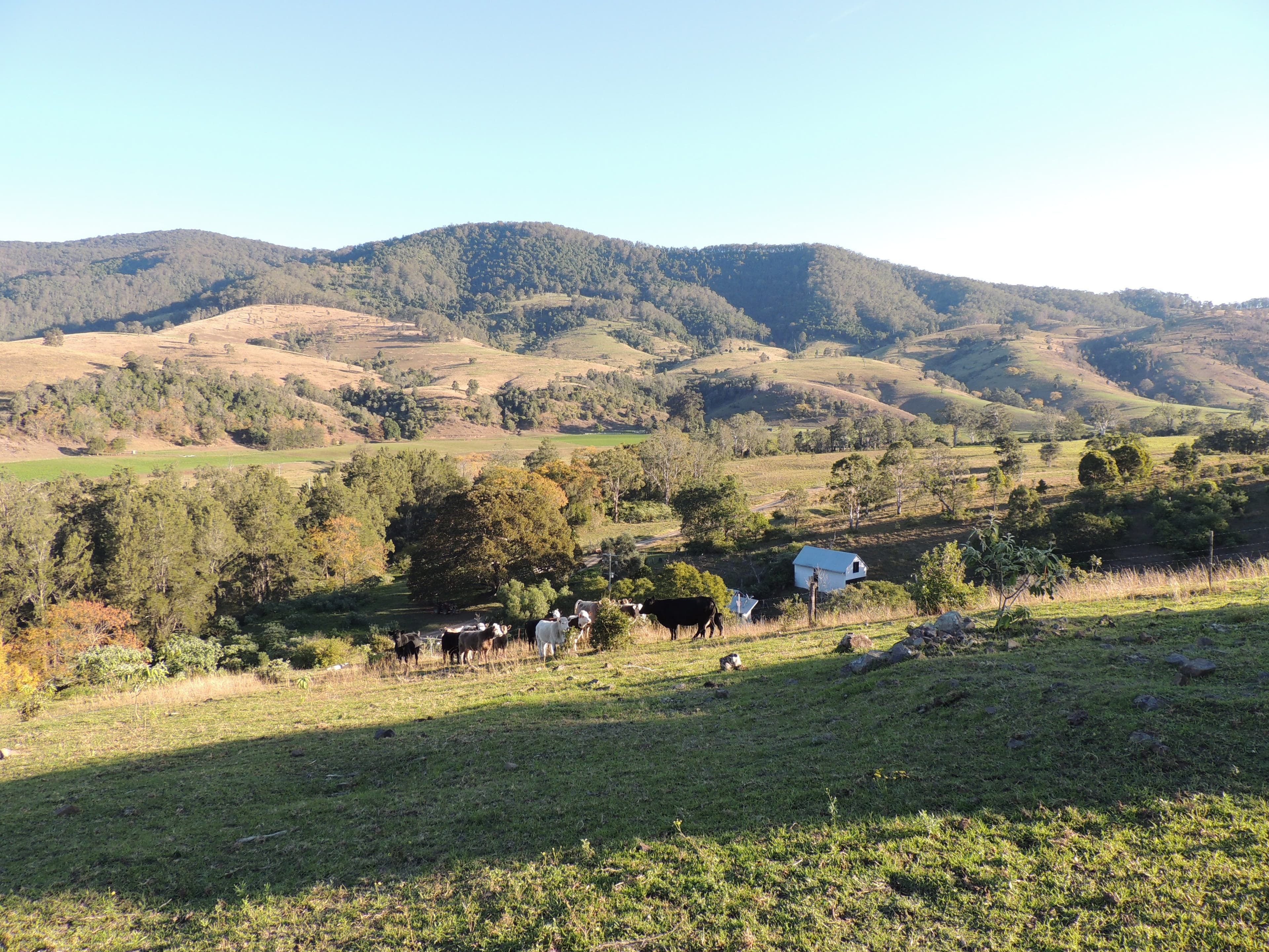 362 Cundle Flat Road, Gloucester NSW 2422, Gloucester - Thumbnail 3
