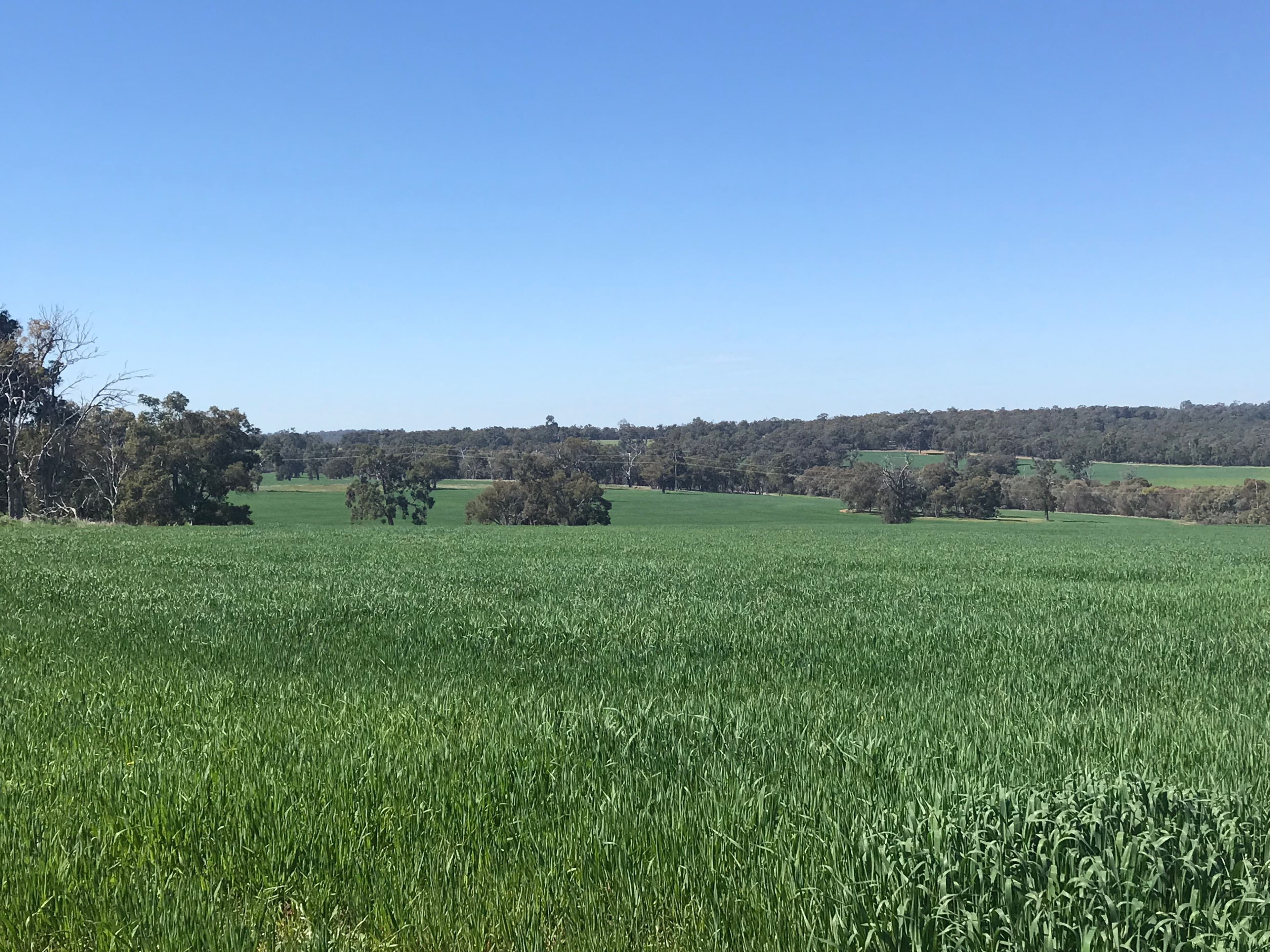 550 Inkpen Road, Copley WA 6562, Copley - Thumbnail 6