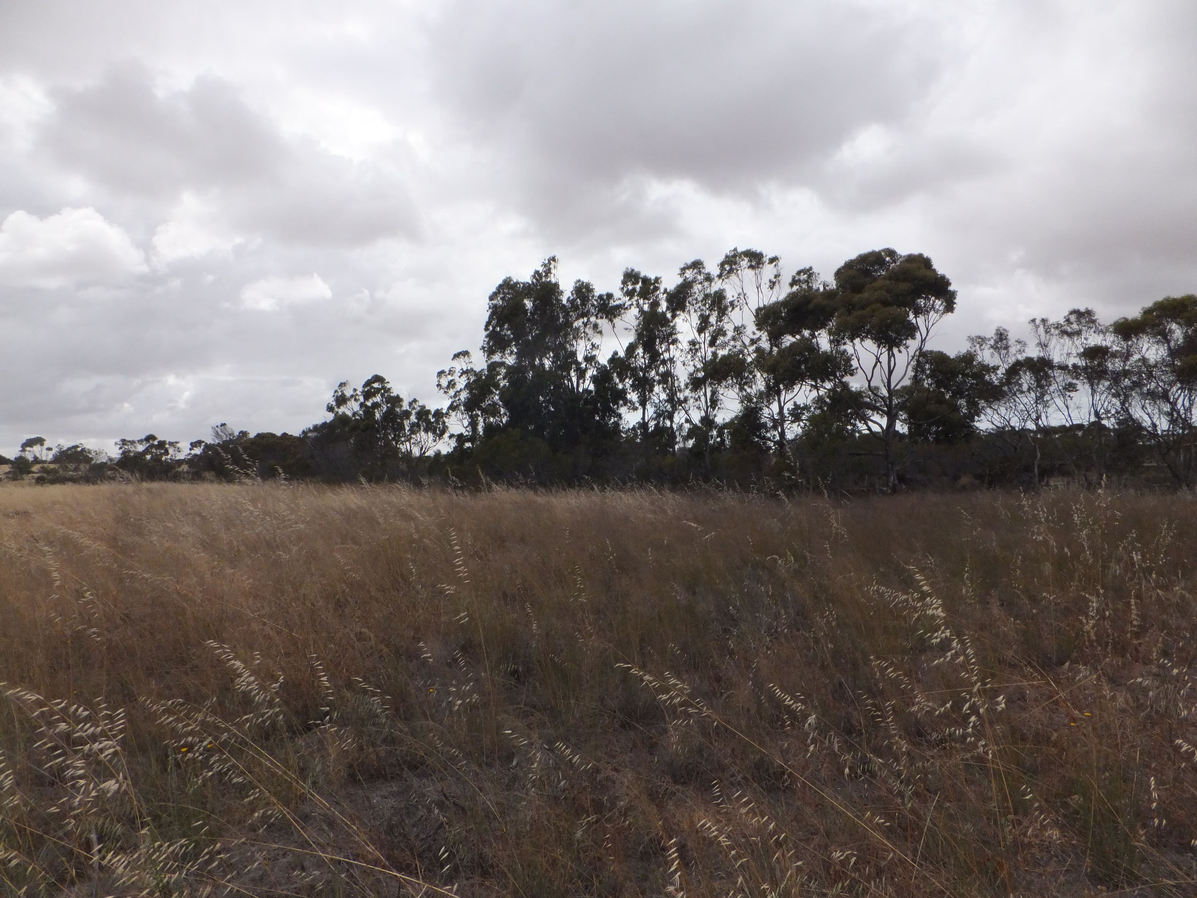 18 Blue Vista, Hopetoun WA 6348, Hopetoun - Thumbnail 3