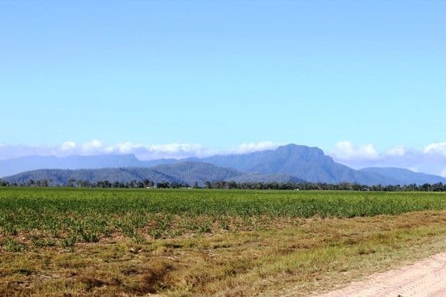 Lot 1 Scotts Road, Lannercost QLD 4850, Lannercost - Thumbnail 5
