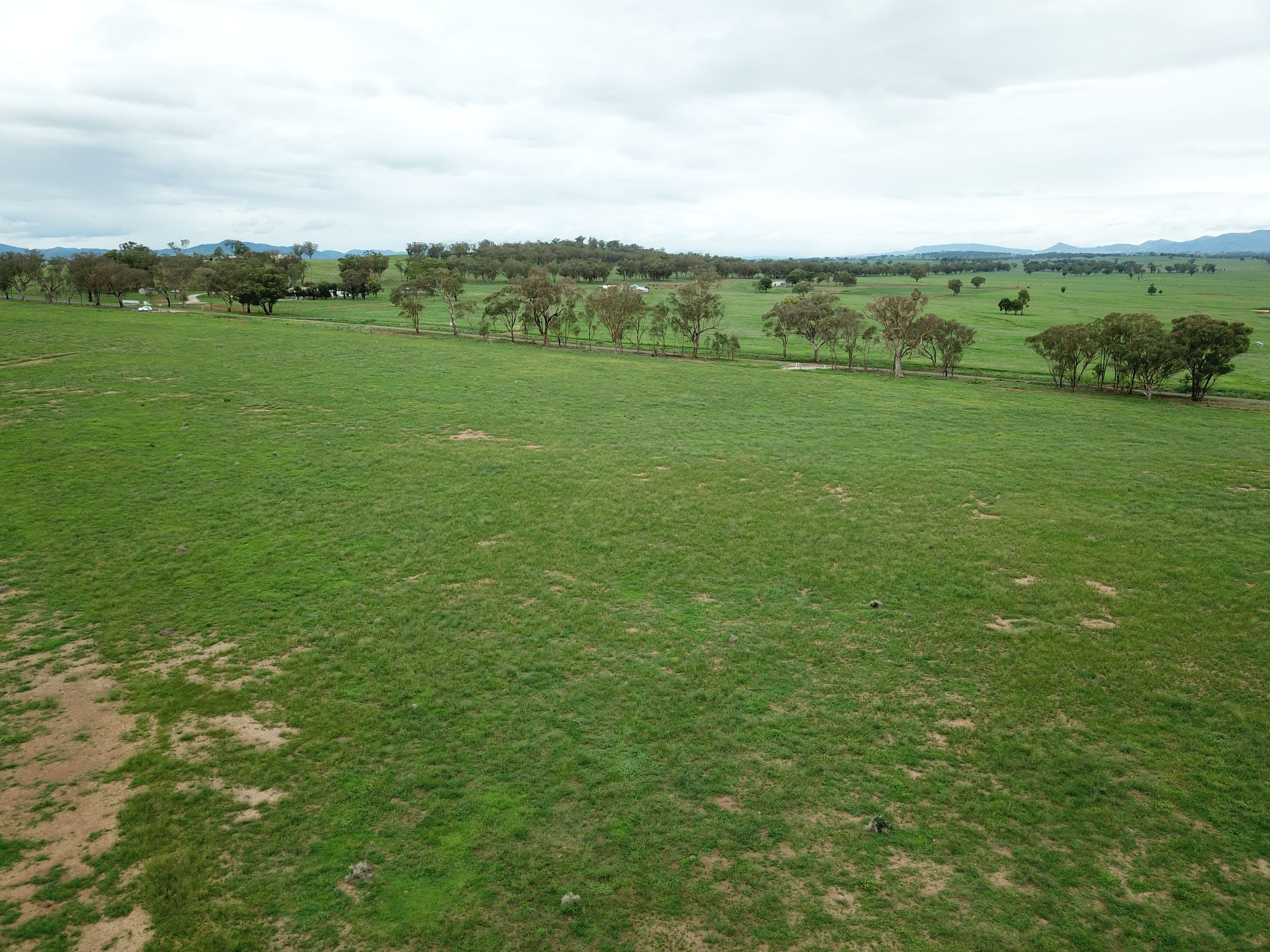 Lot 4233 Meadows Lane, Tamworth NSW 2340, Tamworth - Thumbnail 2