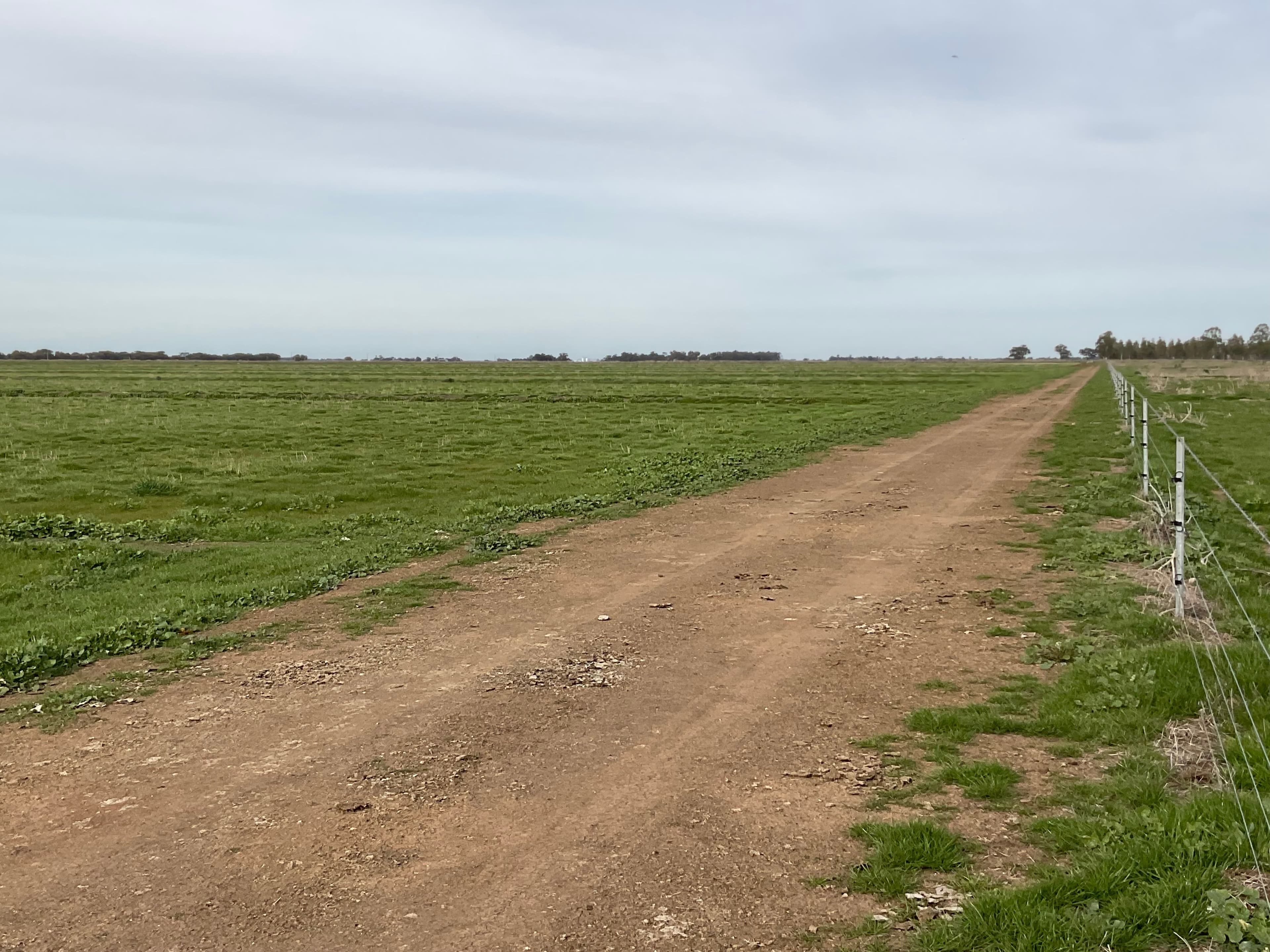 Part Farm 1428 Glenn Road, Murrami NSW 2705, Murrami - Thumbnail 4
