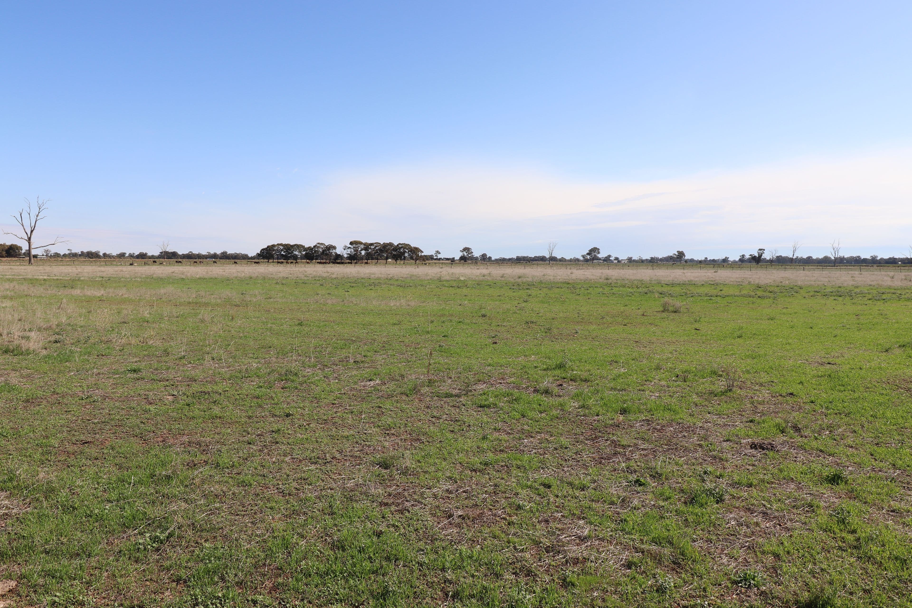 570 Stewart Road, Tatura VIC 3616, Tatura - Thumbnail 8