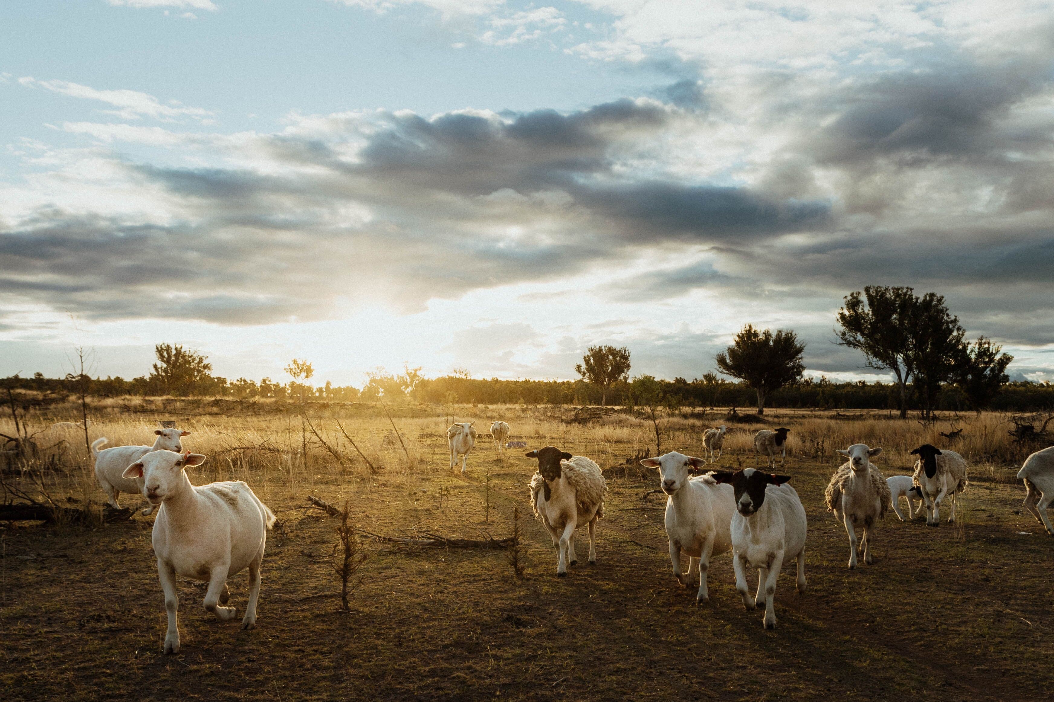 GREENUP QLD 4387, Greenup - Image 1