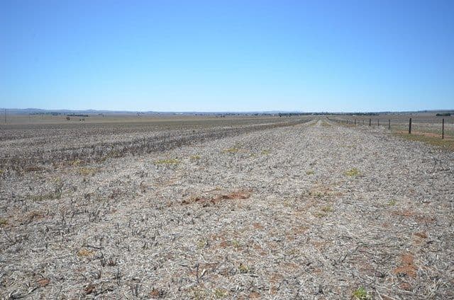 "Manoora Block" - Fairview Road, Manoora SA 5414, Manoora - Thumbnail 4