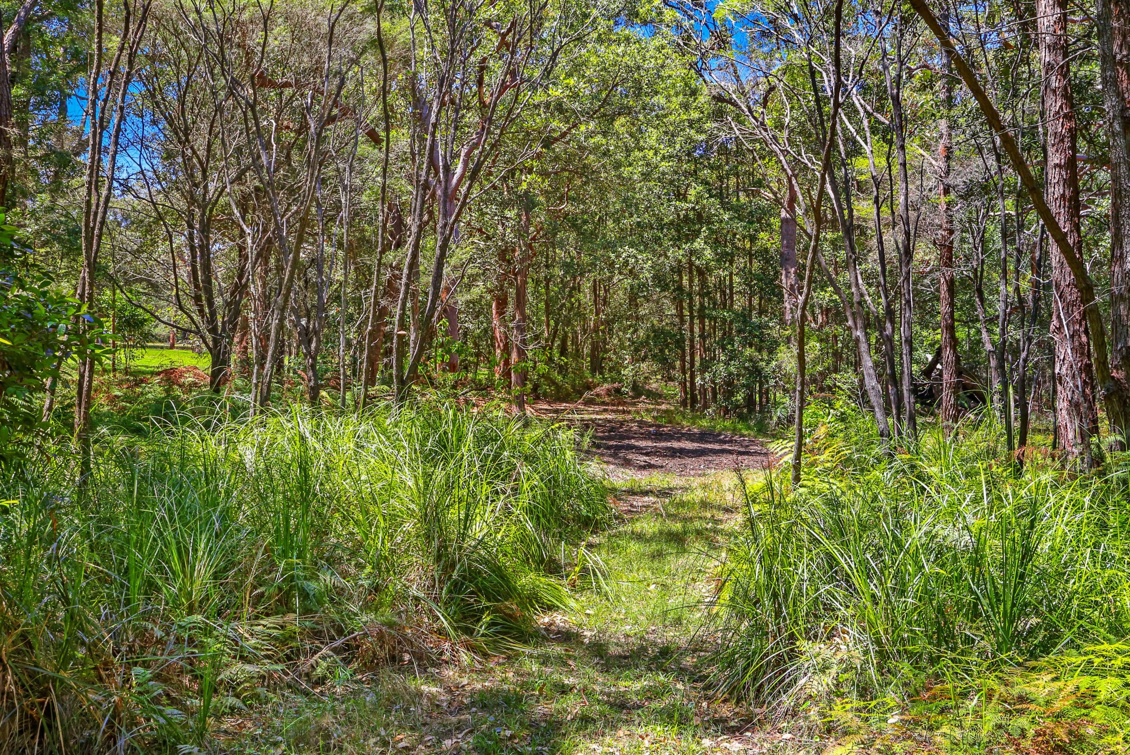 113 Maitland Bay Drive, Killcare Heights NSW 2257, Killcare Heights - Thumbnail 5