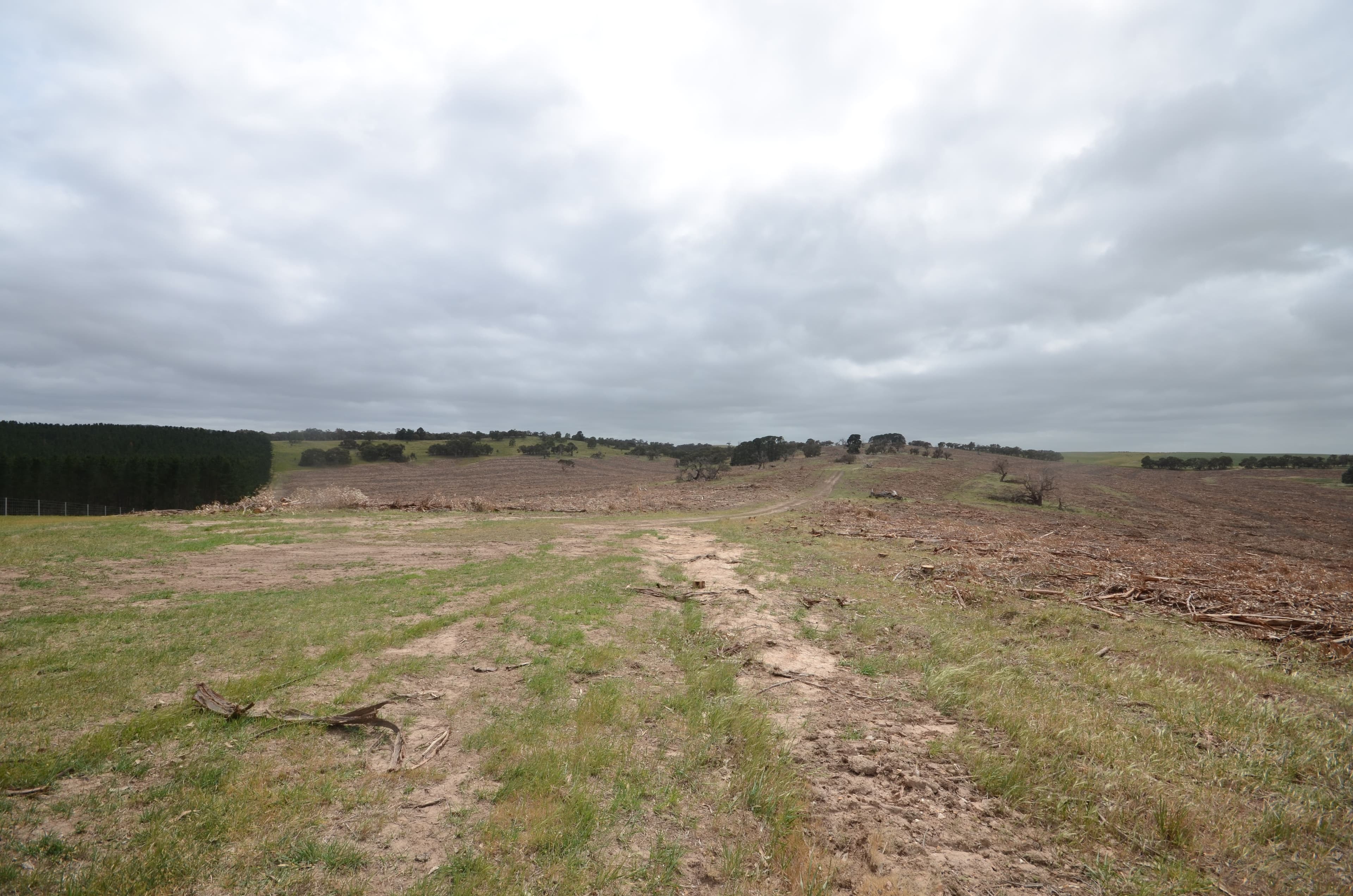 Lot 1 "Curlewis" Ellis Road, BEAUFORT VIC 3373, Beaufort - Thumbnail 4