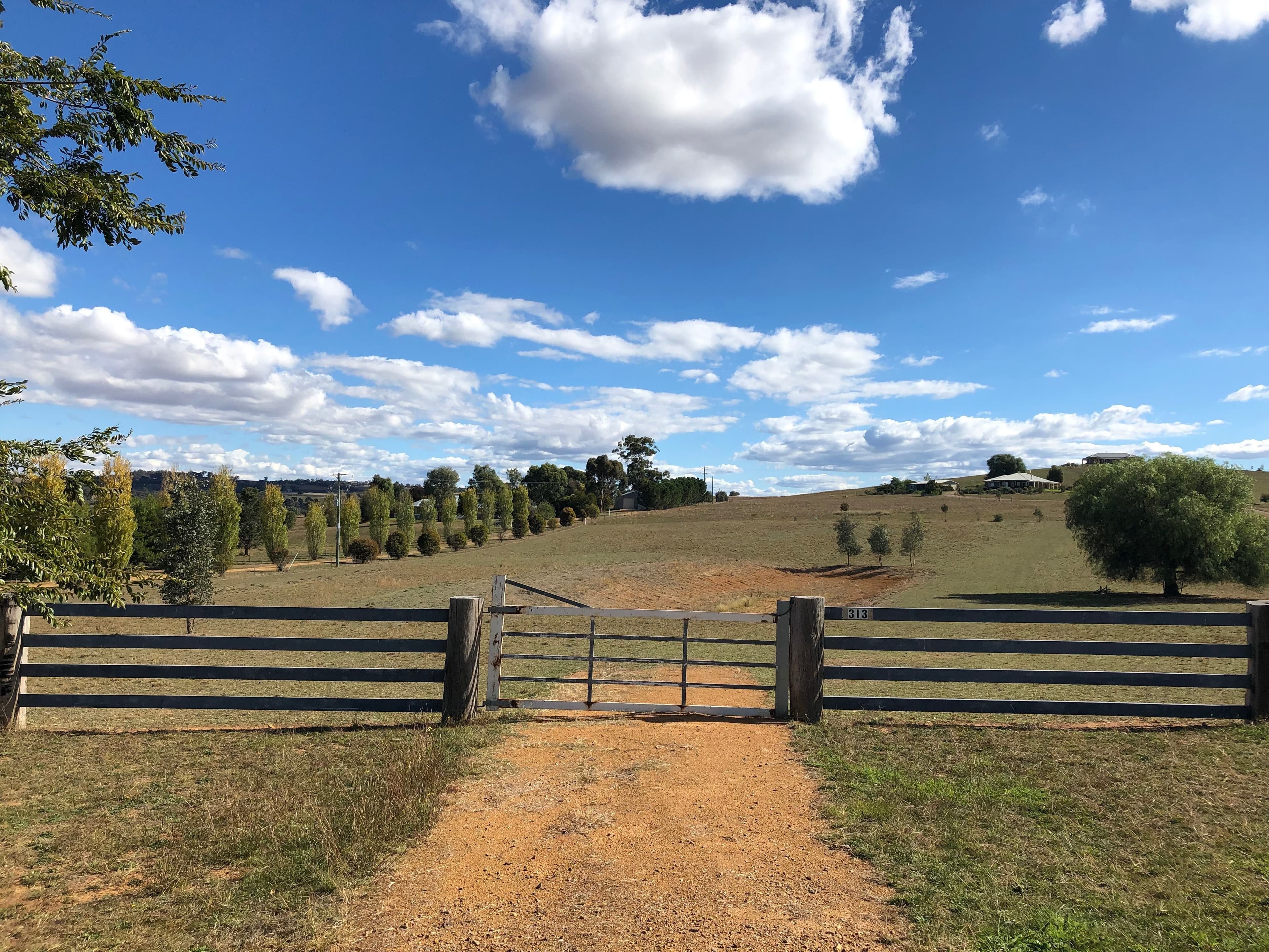 313 Elouera Road, Cowra NSW 2794, Cowra - Image 1