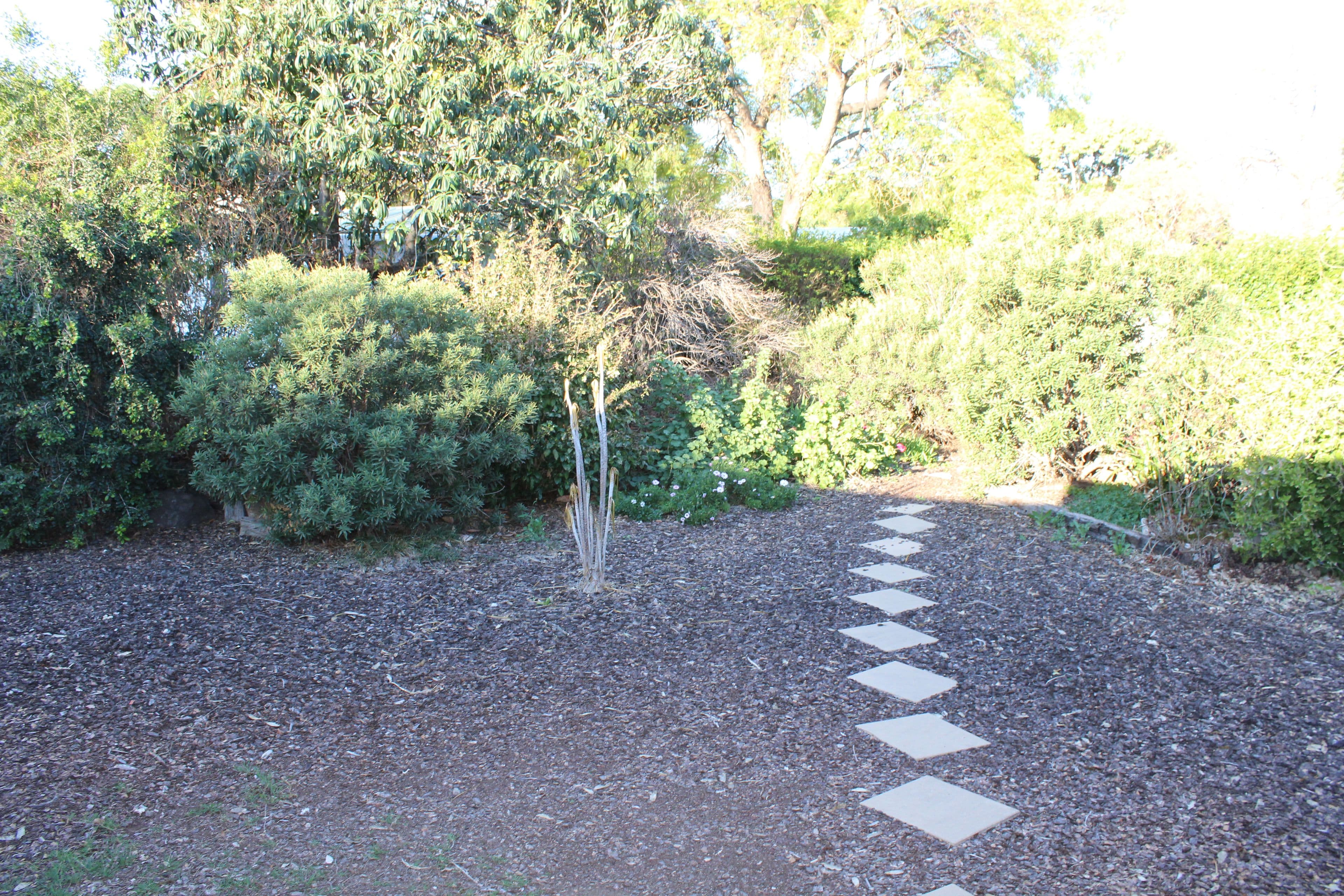 40 FRIDESWIDE Street, Goondiwindi QLD 4390, Goondiwindi - Thumbnail 7