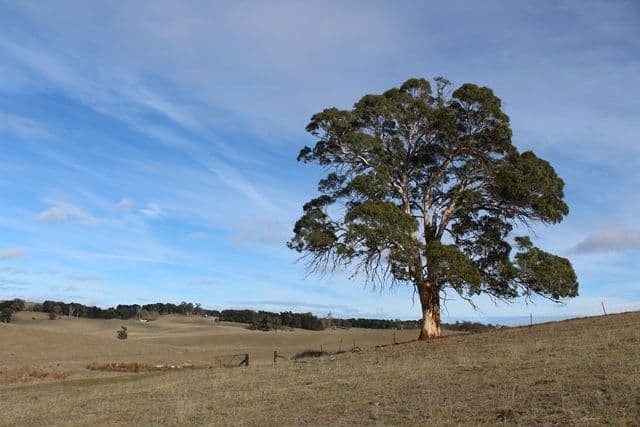 Lot 22-265 Baileys Lane, Oberon NSW 2787, Oberon - Thumbnail 8