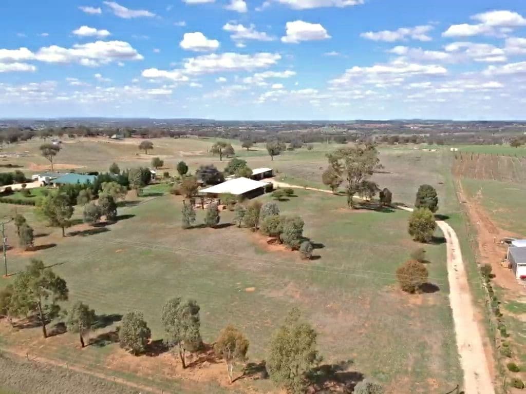 603 Spring Creek Road, Young NSW 2594, Young - Thumbnail 3