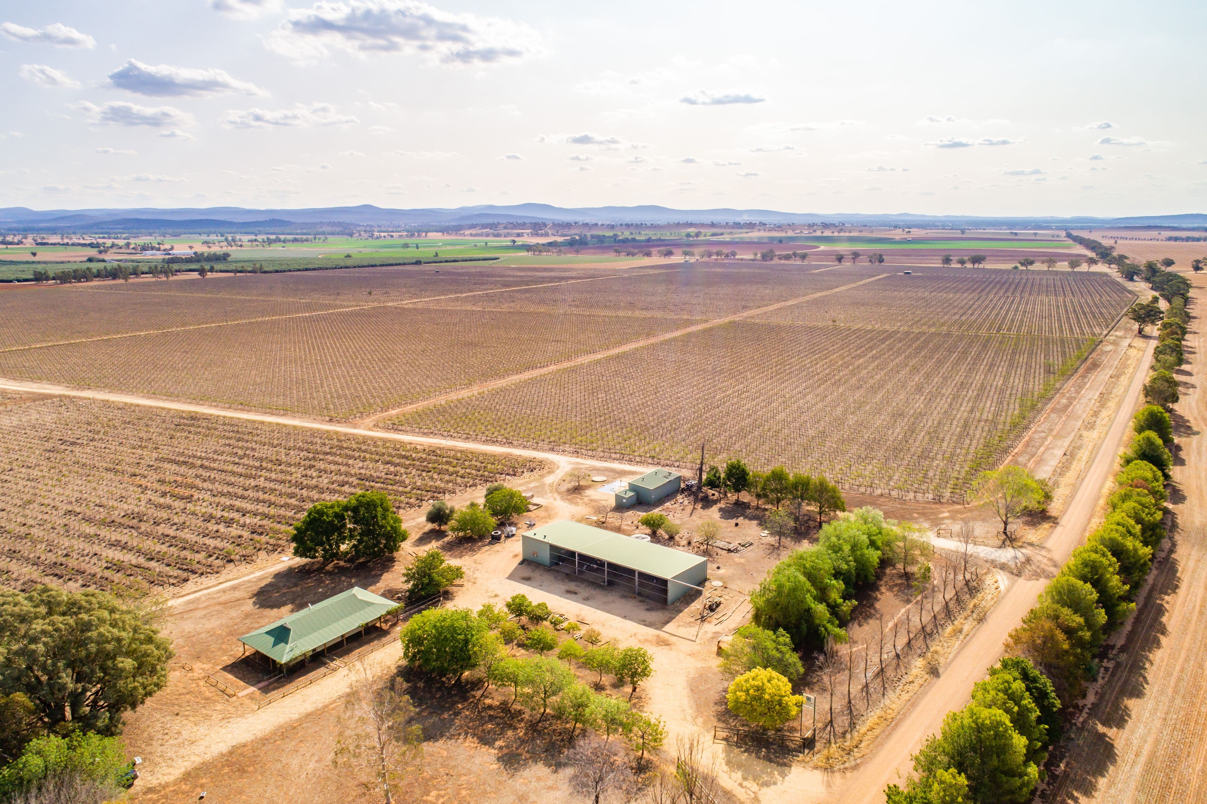 287 Mount Lewis Road, Canowindra NSW 2804, Canowindra - Thumbnail 2